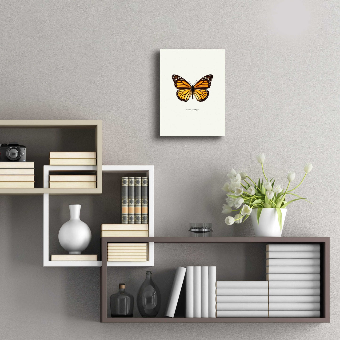 Epic Art 'Yellow Butterfly' by GraphINC, Acrylic Glass Wall Art,12x16