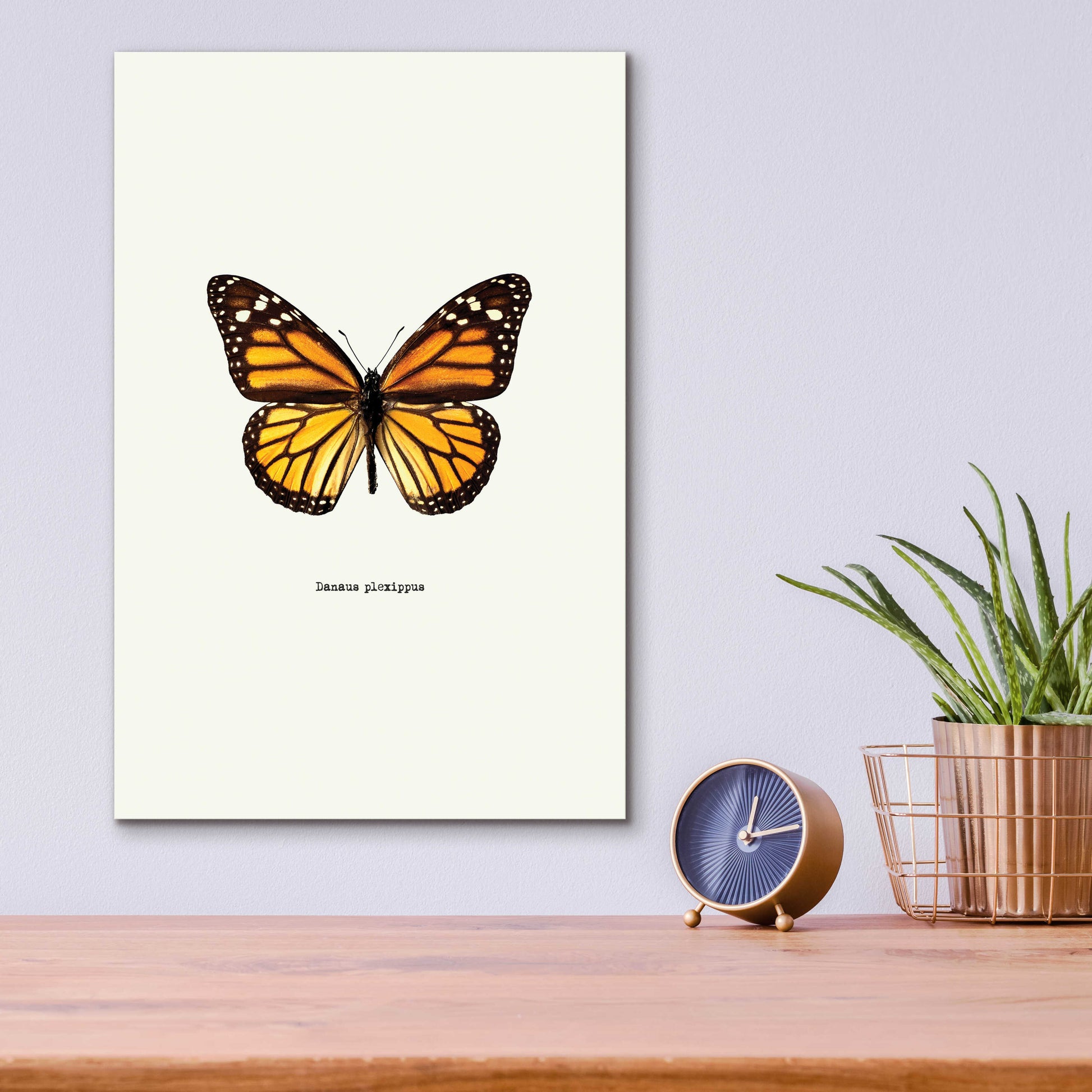 Epic Art 'Yellow Butterfly' by GraphINC, Acrylic Glass Wall Art,12x16