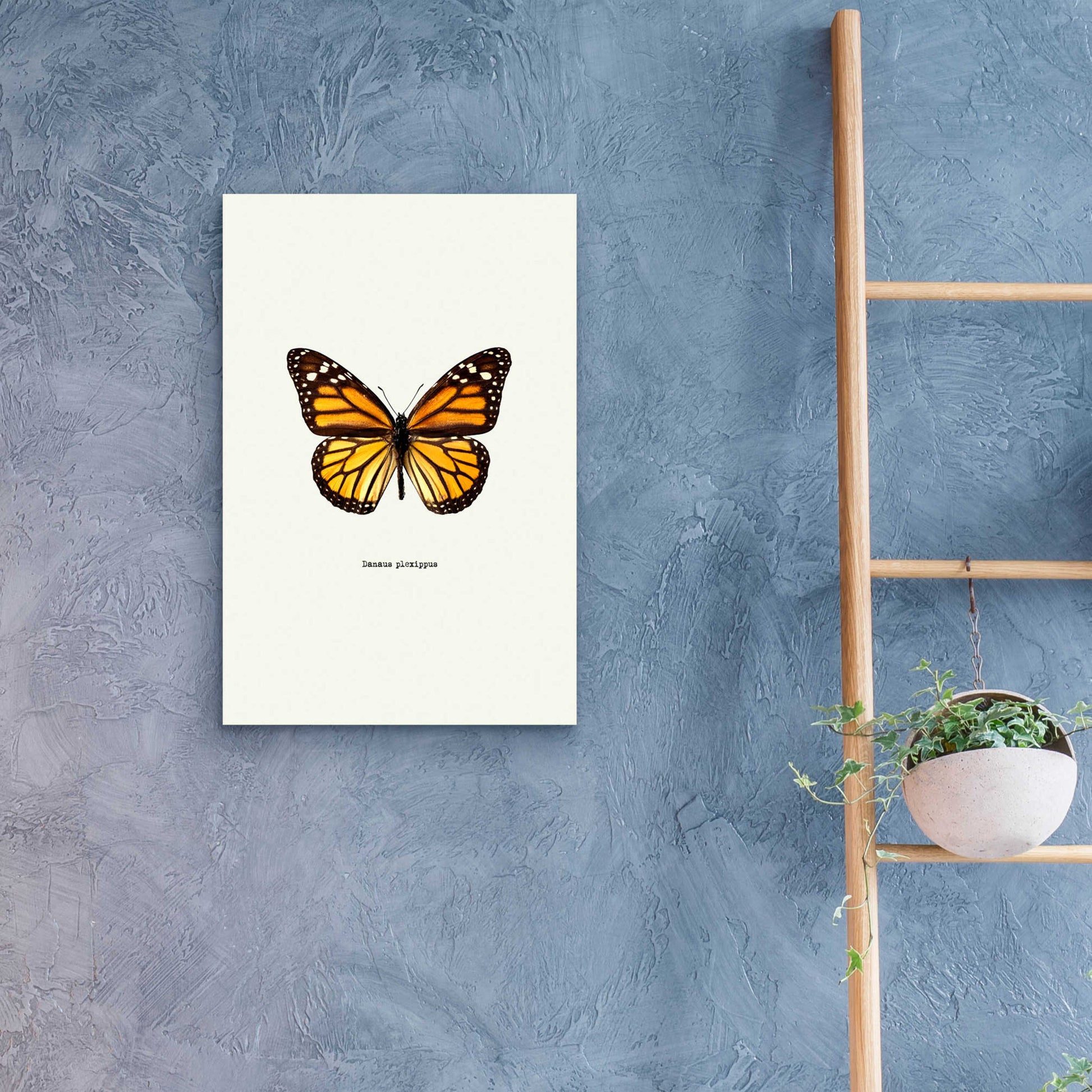 Epic Art 'Yellow Butterfly' by GraphINC, Acrylic Glass Wall Art,16x24