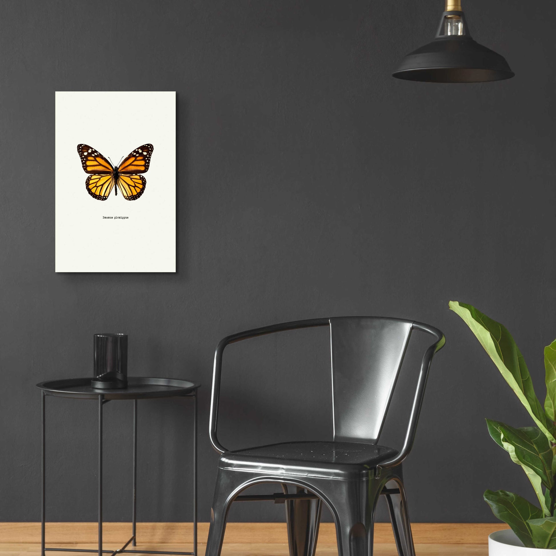 Epic Art 'Yellow Butterfly' by GraphINC, Acrylic Glass Wall Art,16x24