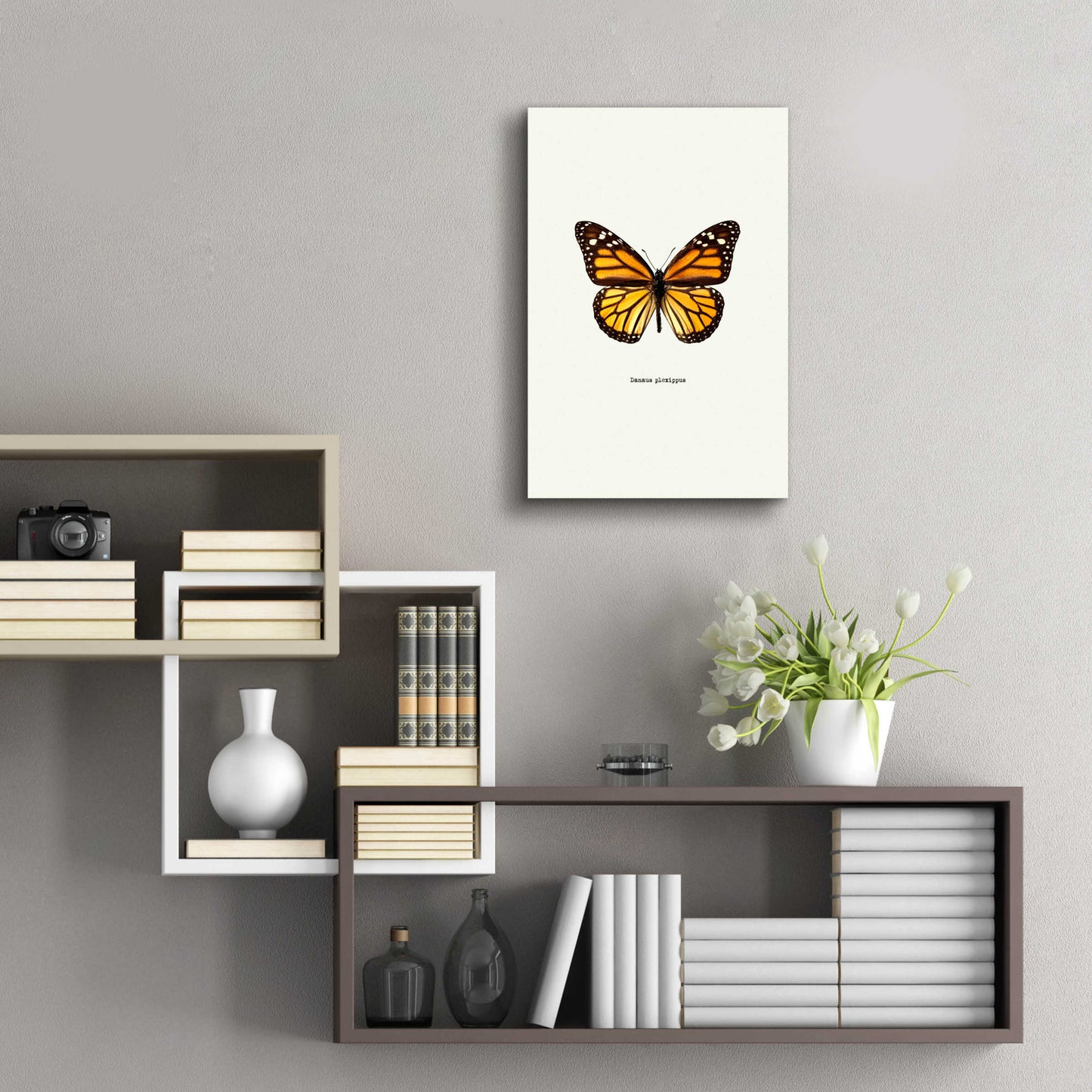 Epic Art 'Yellow Butterfly' by GraphINC, Acrylic Glass Wall Art,16x24