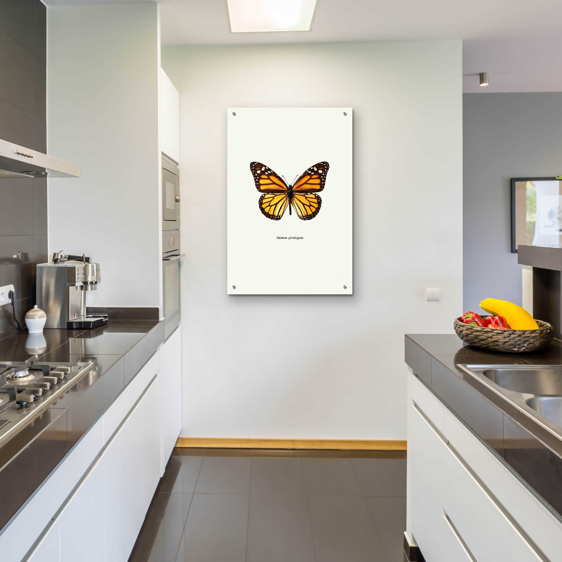 Epic Art 'Yellow Butterfly' by GraphINC, Acrylic Glass Wall Art,24x36