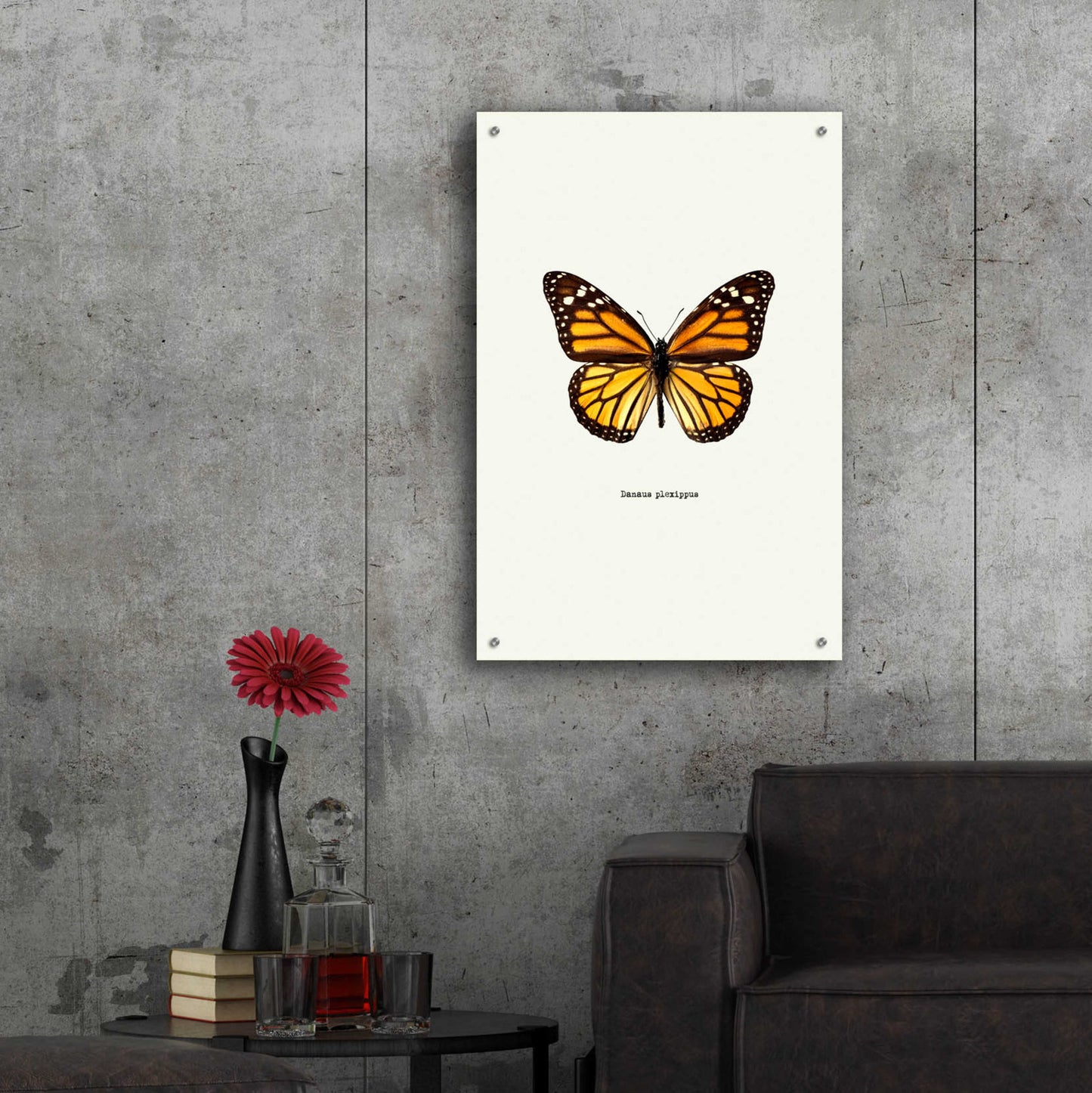 Epic Art 'Yellow Butterfly' by GraphINC, Acrylic Glass Wall Art,24x36