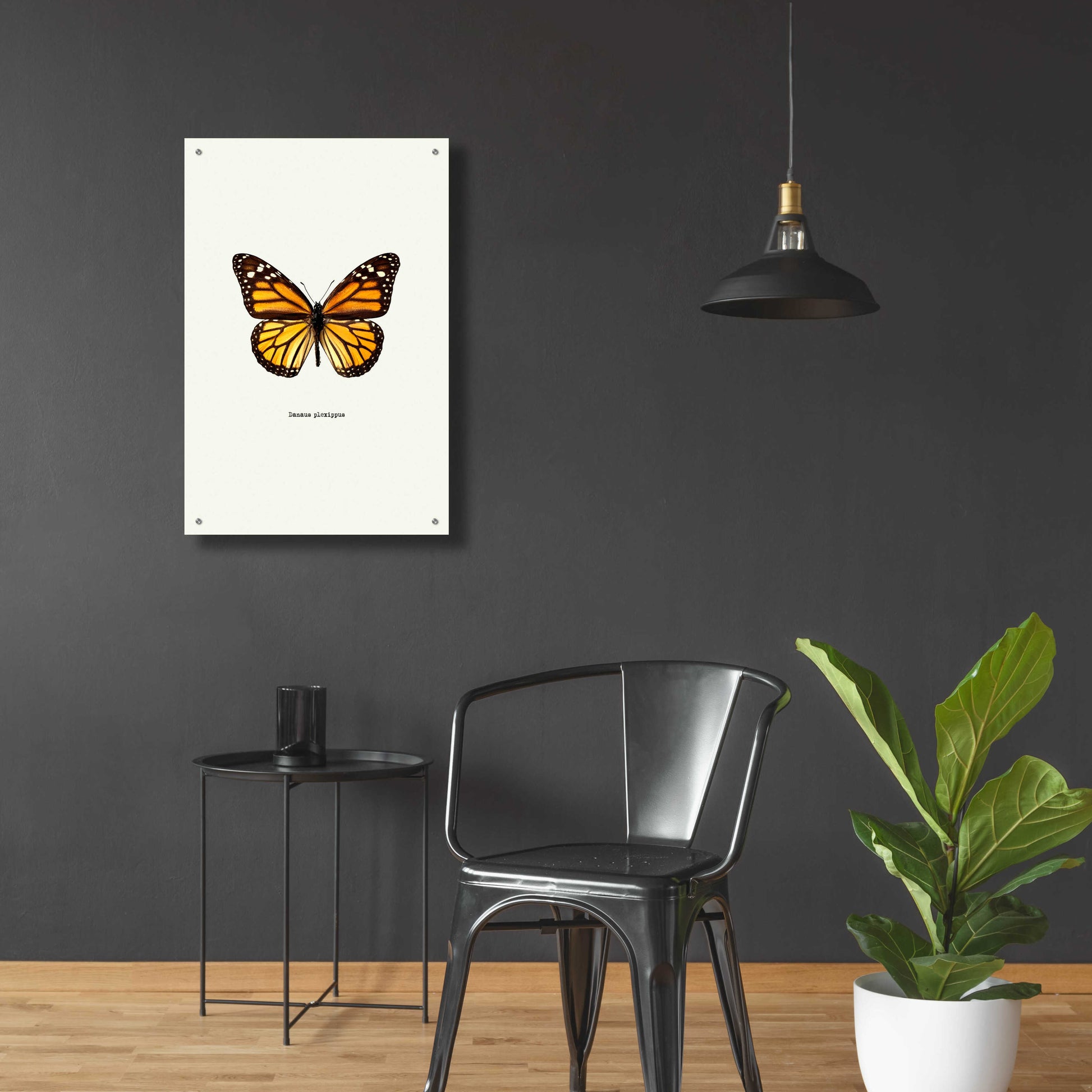 Epic Art 'Yellow Butterfly' by GraphINC, Acrylic Glass Wall Art,24x36