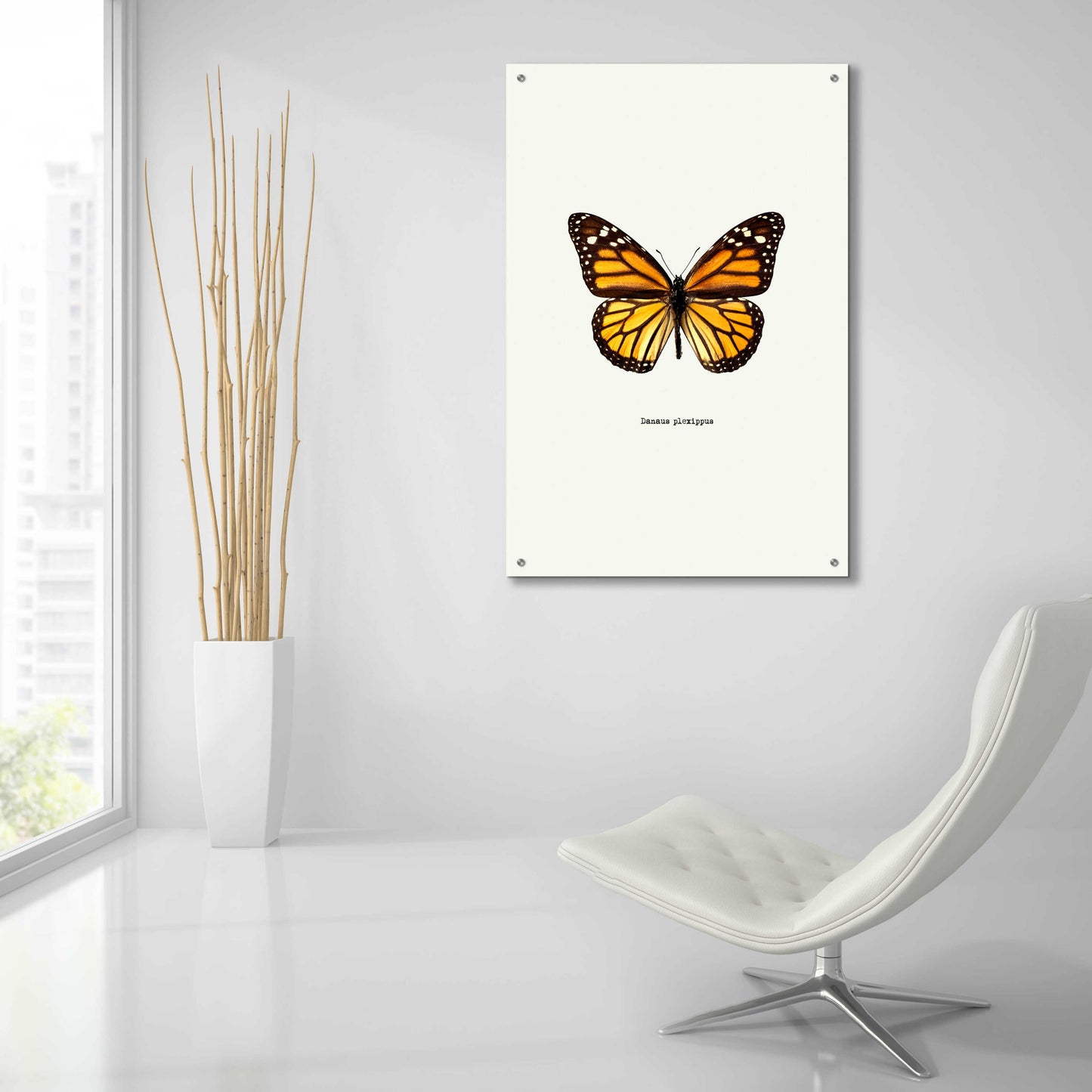 Epic Art 'Yellow Butterfly' by GraphINC, Acrylic Glass Wall Art,24x36