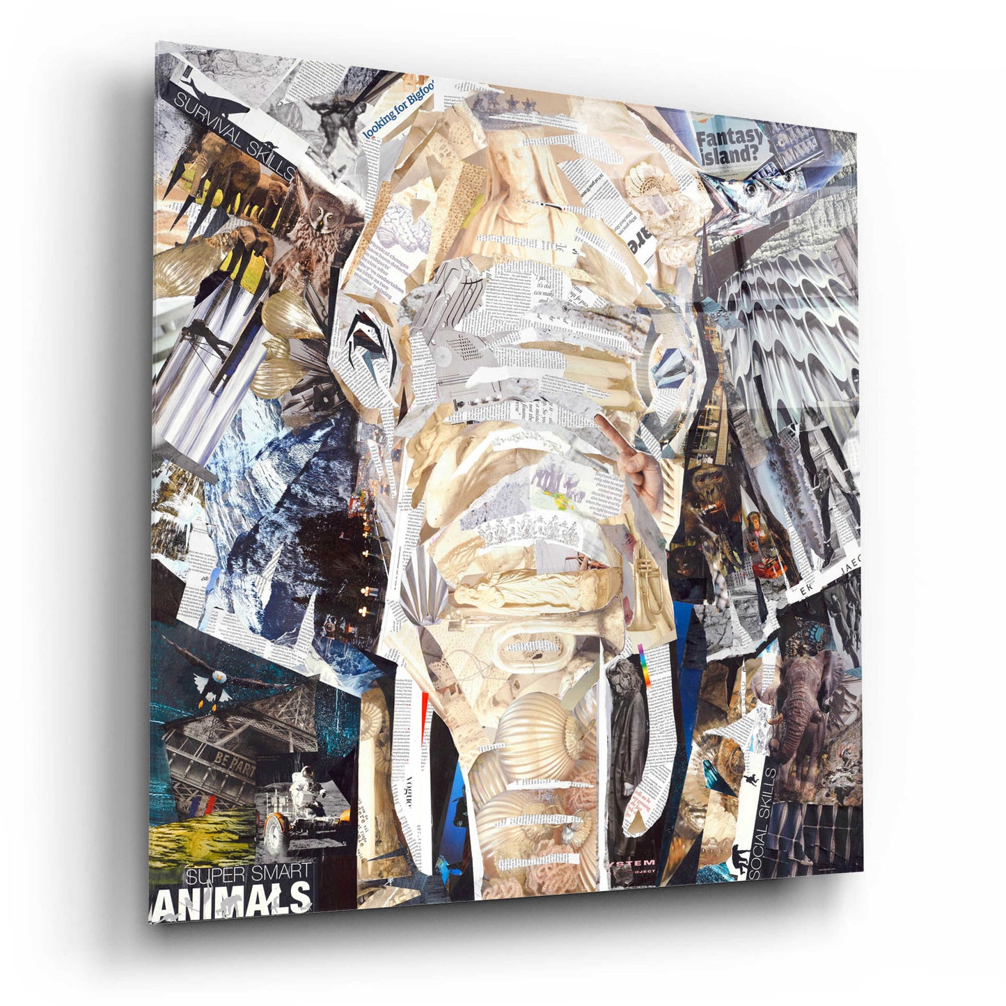 Epic Art 'Elephants Gaze' by Grey, Acrylic Glass Wall Art,12x12