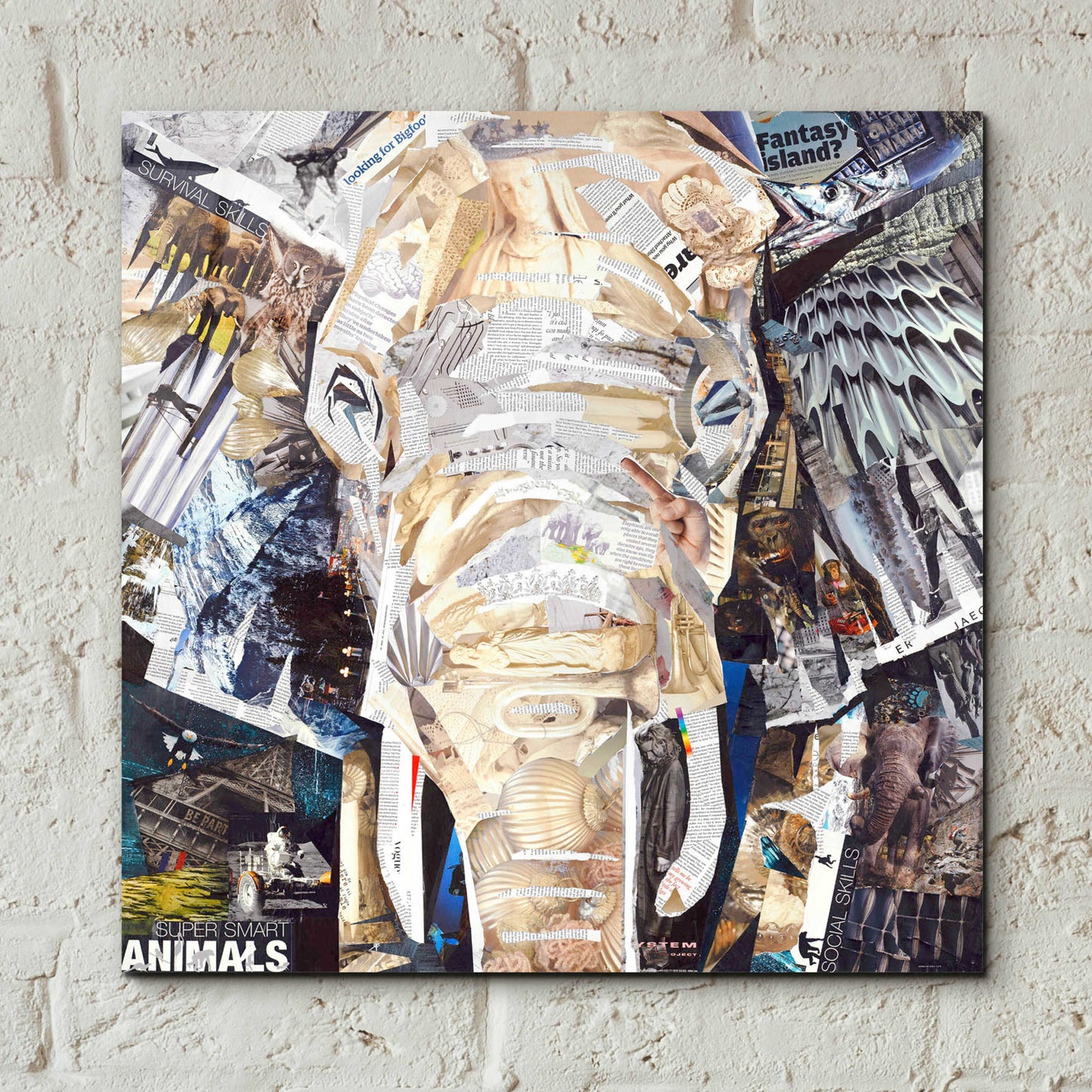 Epic Art 'Elephants Gaze' by Grey, Acrylic Glass Wall Art,12x12