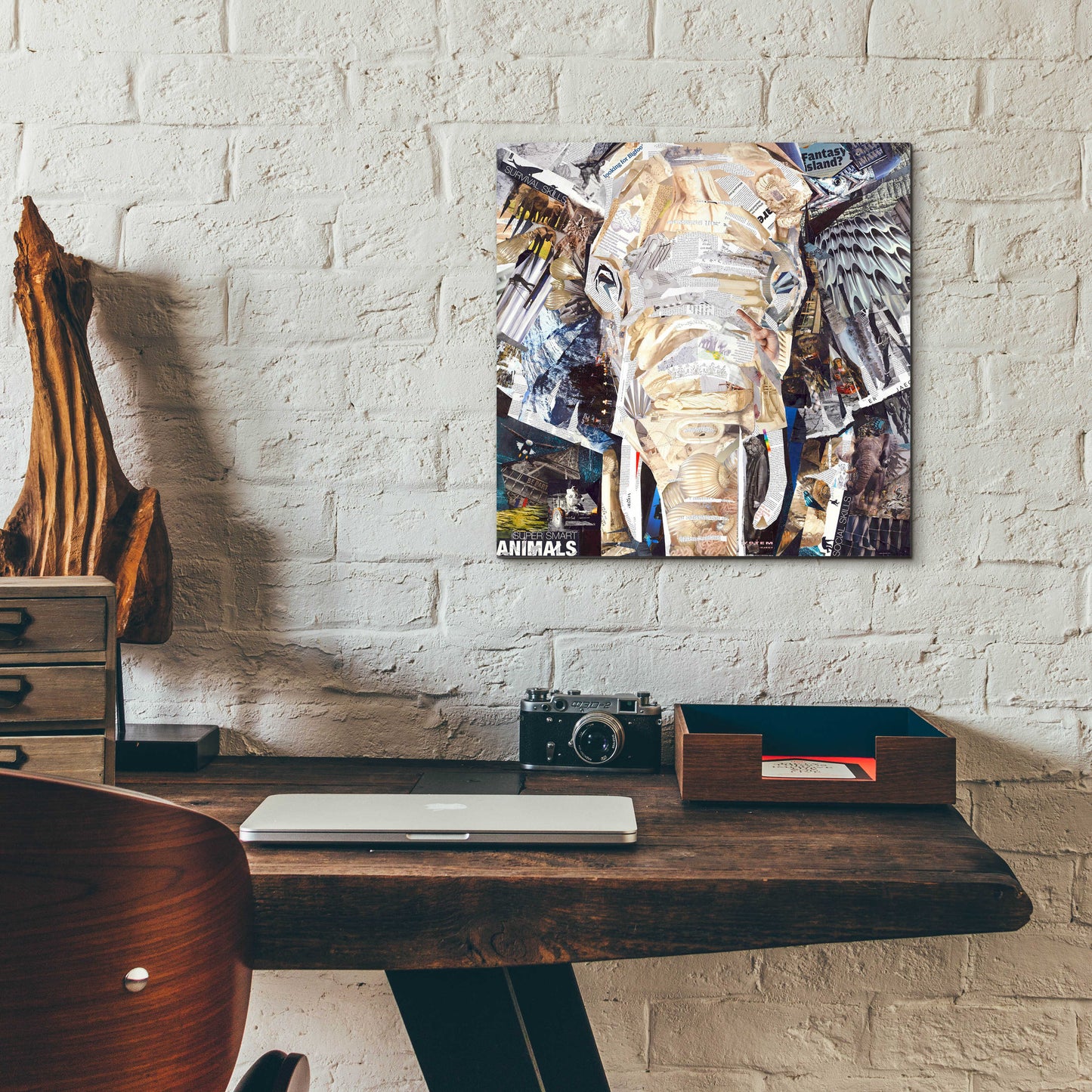 Epic Art 'Elephants Gaze' by Grey, Acrylic Glass Wall Art,12x12