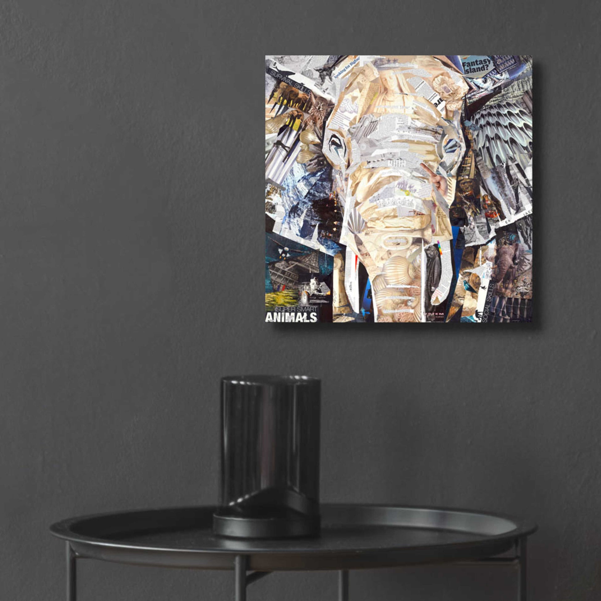 Epic Art 'Elephants Gaze' by Grey, Acrylic Glass Wall Art,12x12