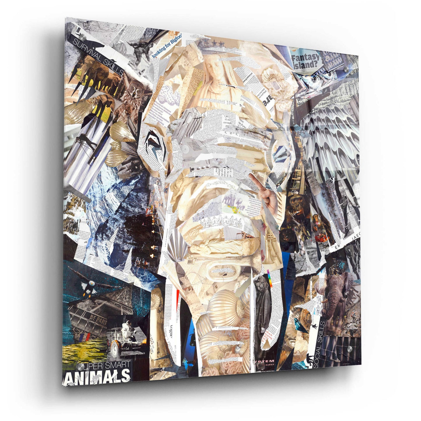 Epic Art 'Elephants Gaze' by Grey, Acrylic Glass Wall Art,24x24