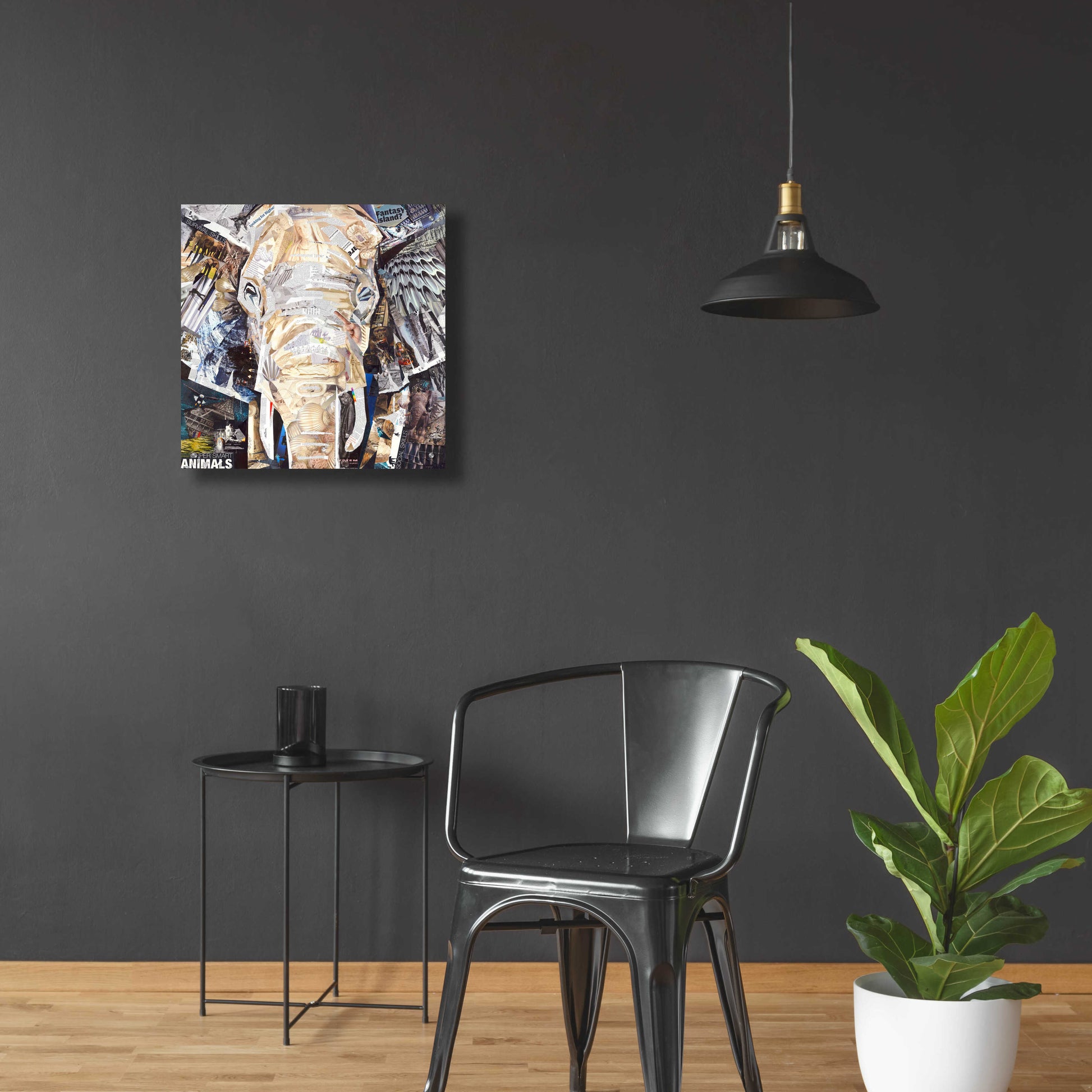 Epic Art 'Elephants Gaze' by Grey, Acrylic Glass Wall Art,24x24