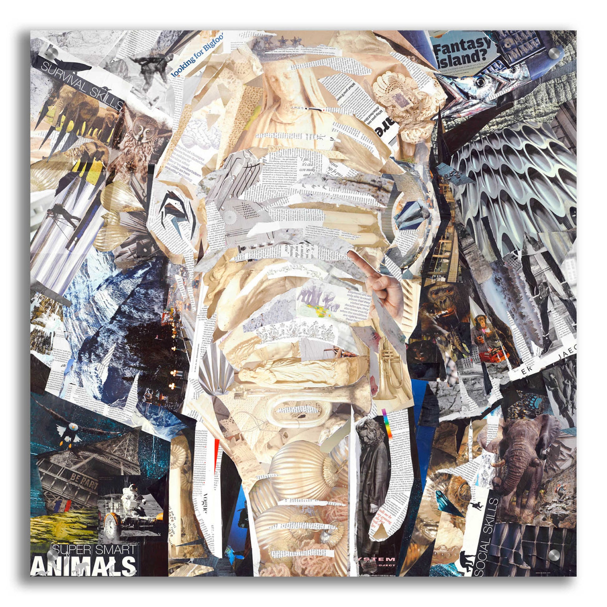 Epic Art 'Elephants Gaze' by Grey, Acrylic Glass Wall Art,24x24