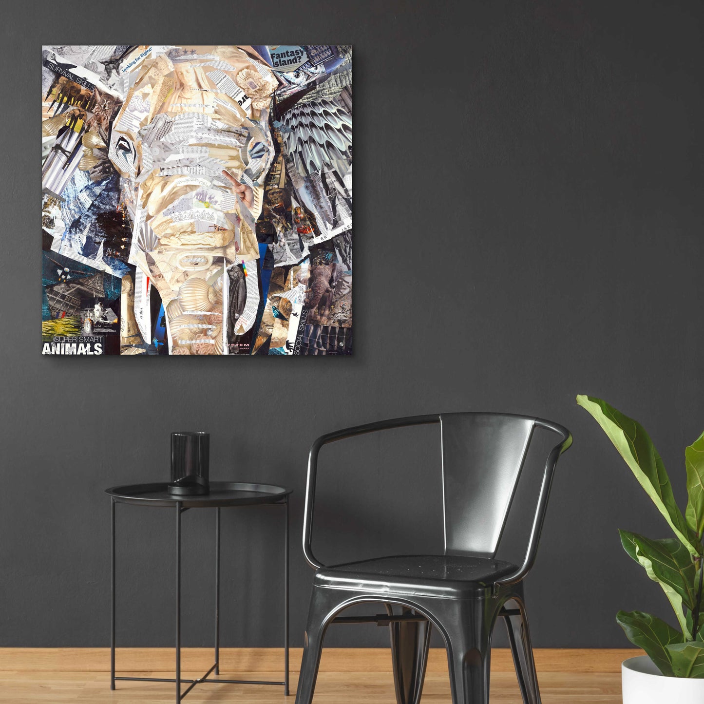 Epic Art 'Elephants Gaze' by Grey, Acrylic Glass Wall Art,36x36