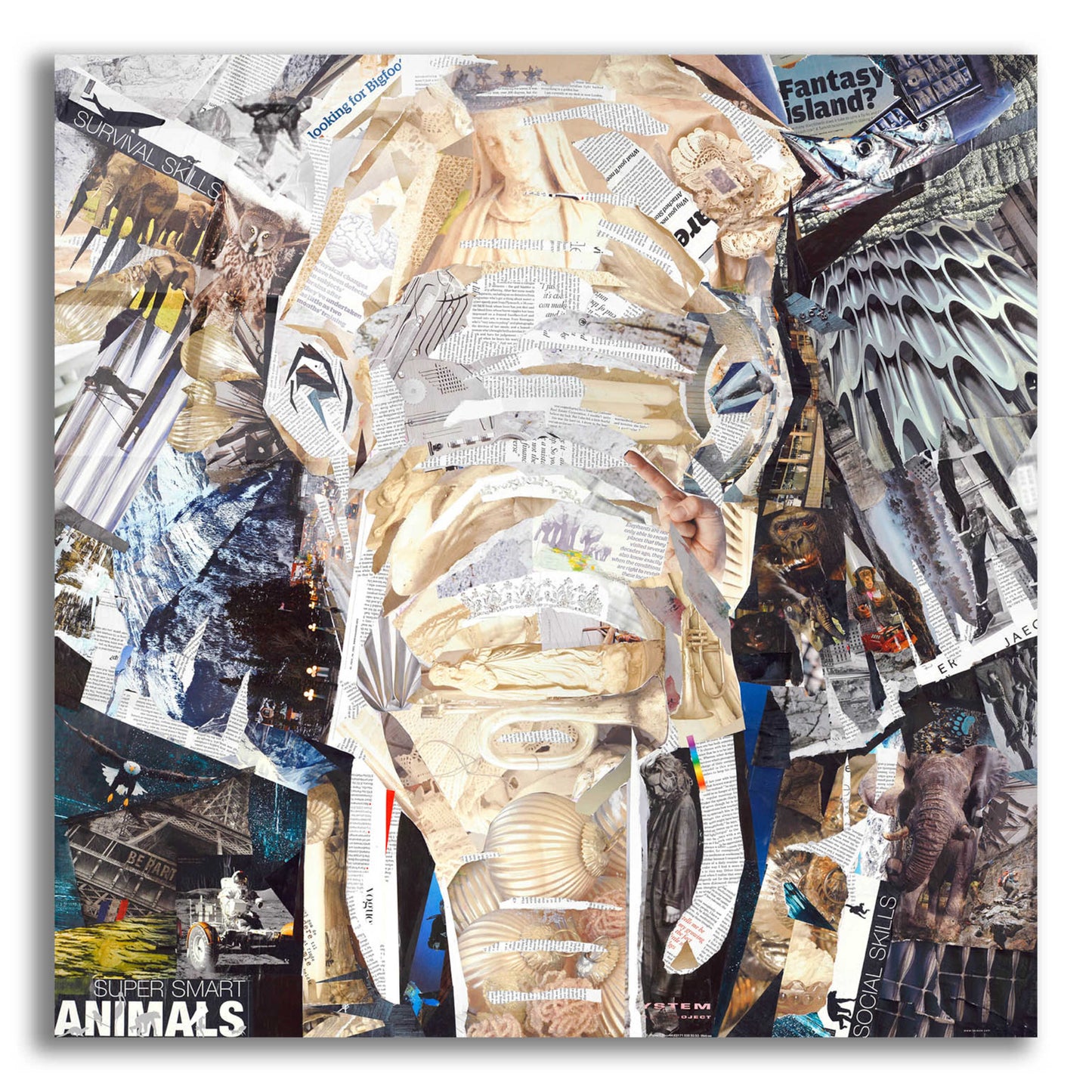 Epic Art 'Elephants Gaze' by Grey, Acrylic Glass Wall Art