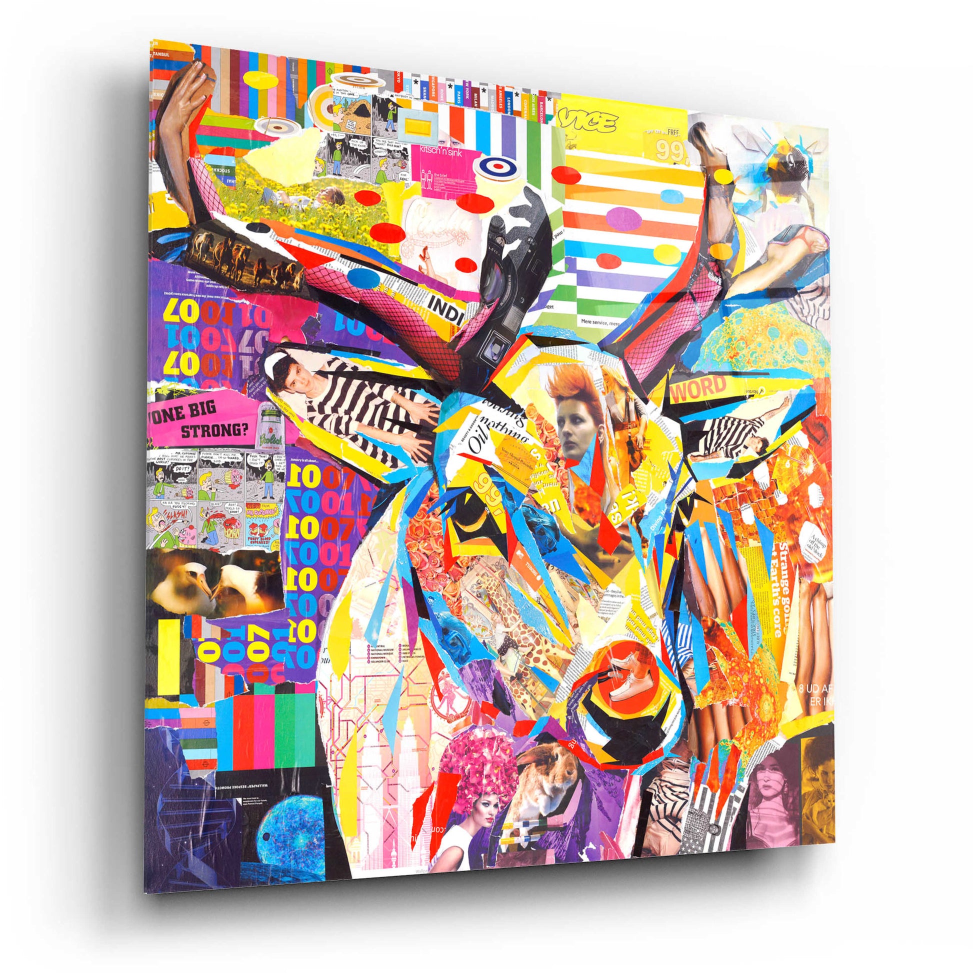 Epic Art 'Funky Deer' by Grey, Acrylic Glass Wall Art,12x12