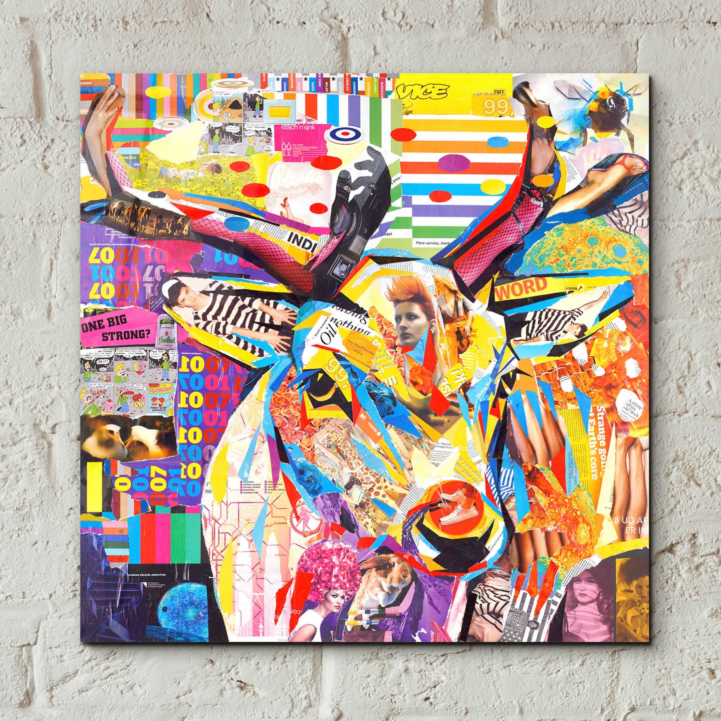 Epic Art 'Funky Deer' by Grey, Acrylic Glass Wall Art,12x12