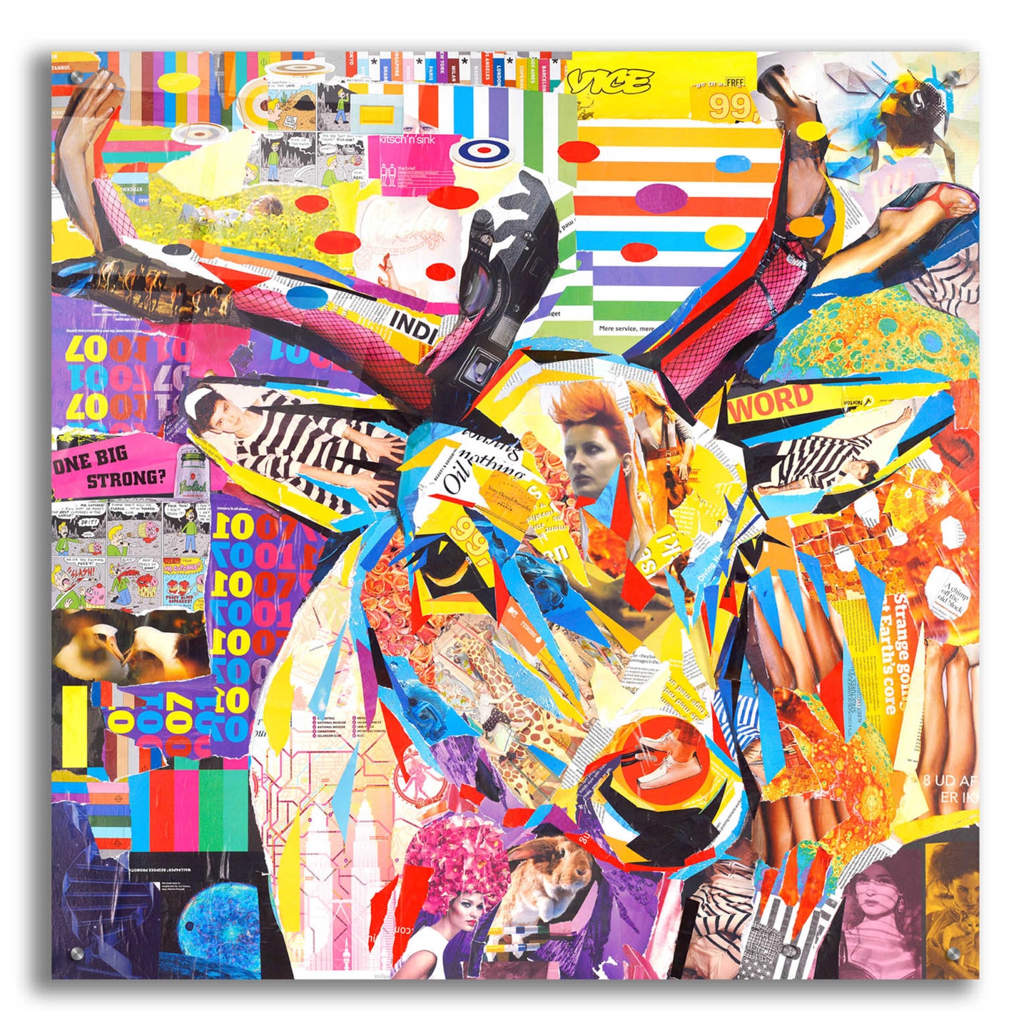 Epic Art 'Funky Deer' by Grey, Acrylic Glass Wall Art,36x36