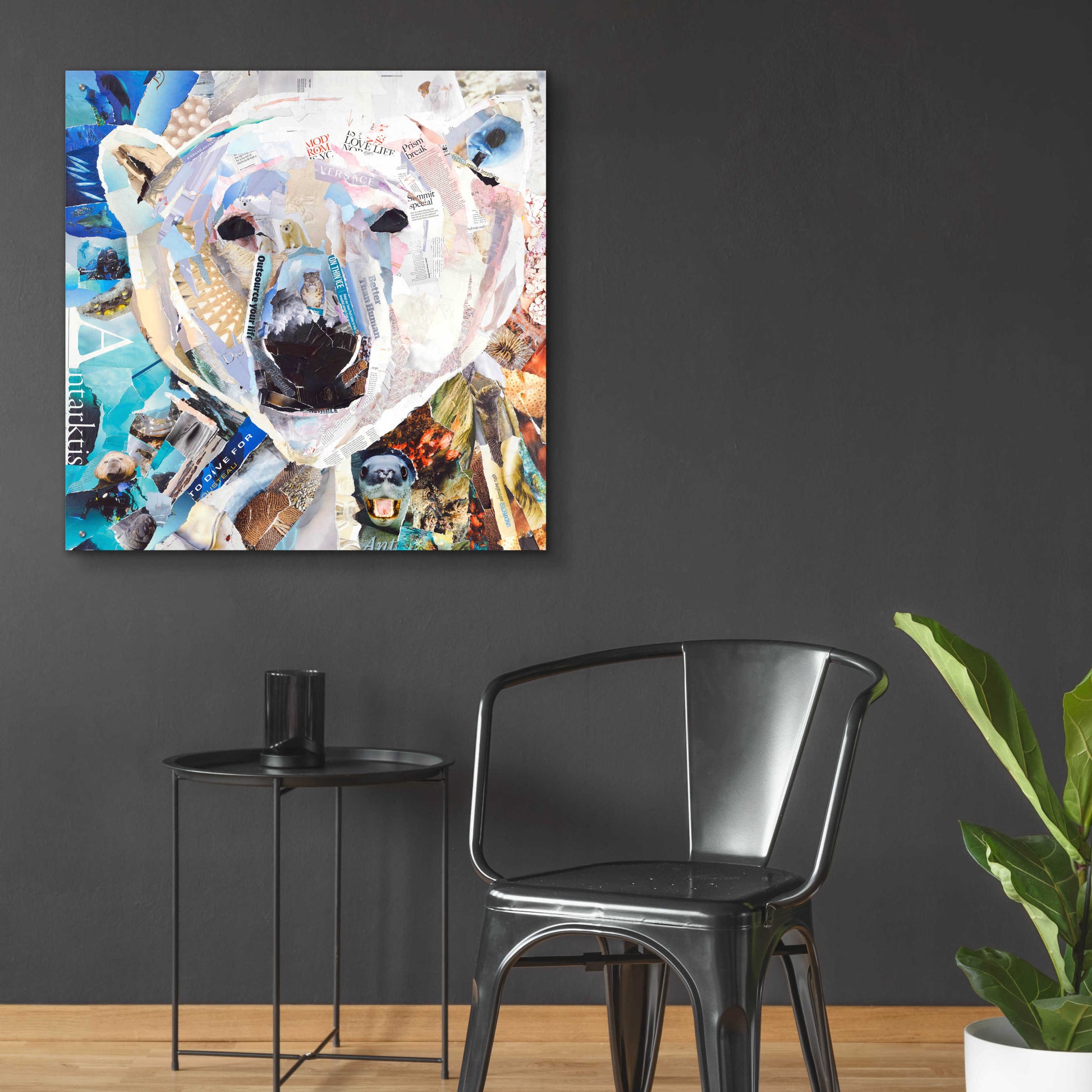 Epic Art 'Polar Bear' by Grey, Acrylic Glass Wall Art,36x36