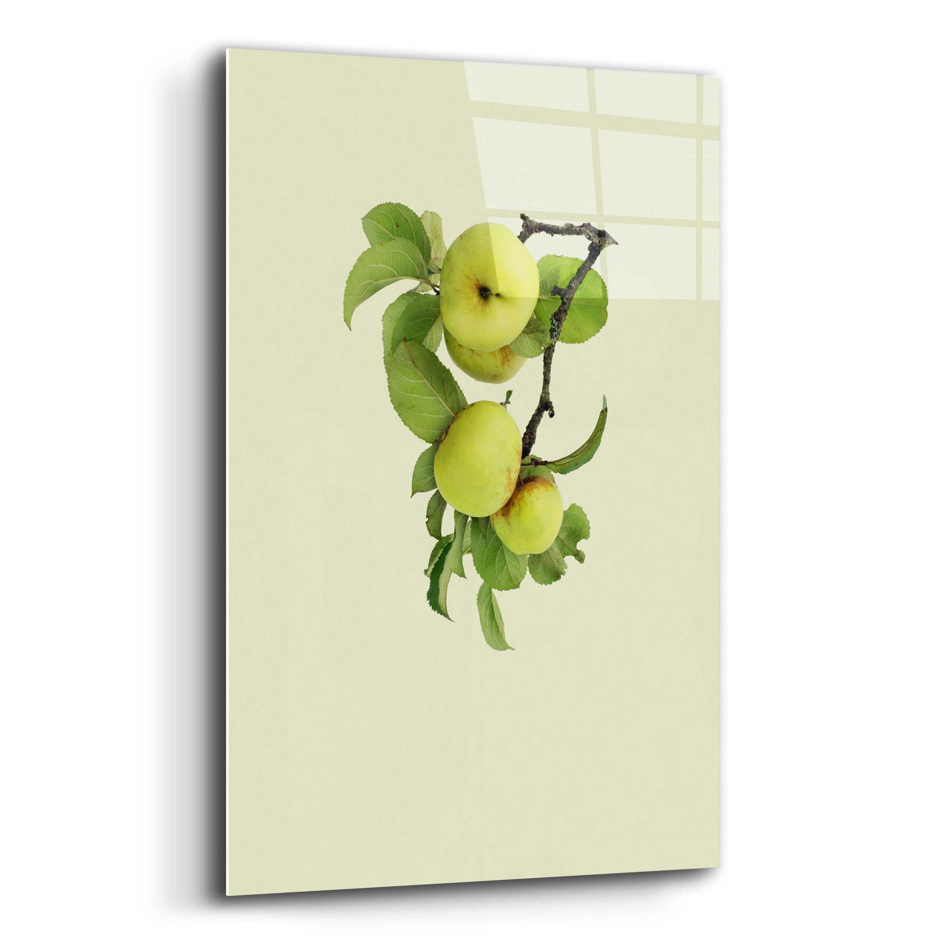 Epic Art 'Apple tree I' by Incado, Acrylic Glass Wall Art,12x16