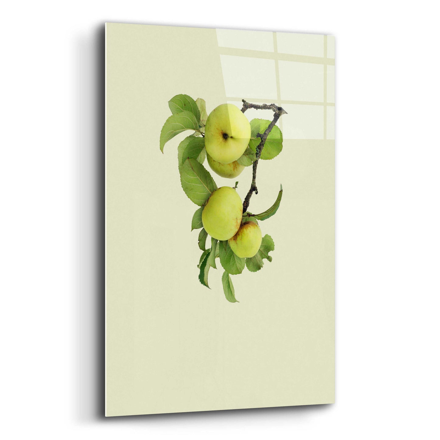 Epic Art 'Apple tree I' by Incado, Acrylic Glass Wall Art,16x24