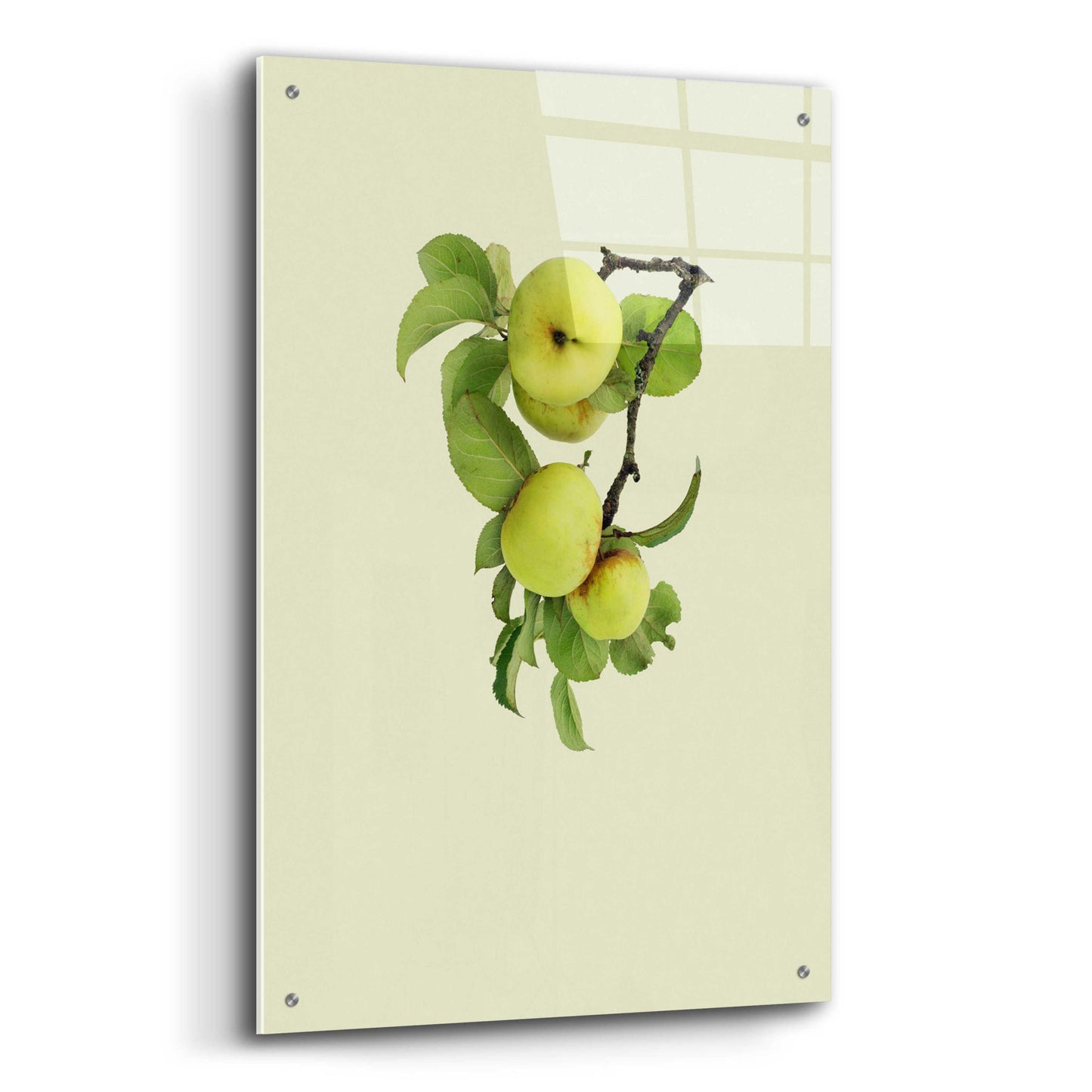 Epic Art 'Apple tree I' by Incado, Acrylic Glass Wall Art,24x36