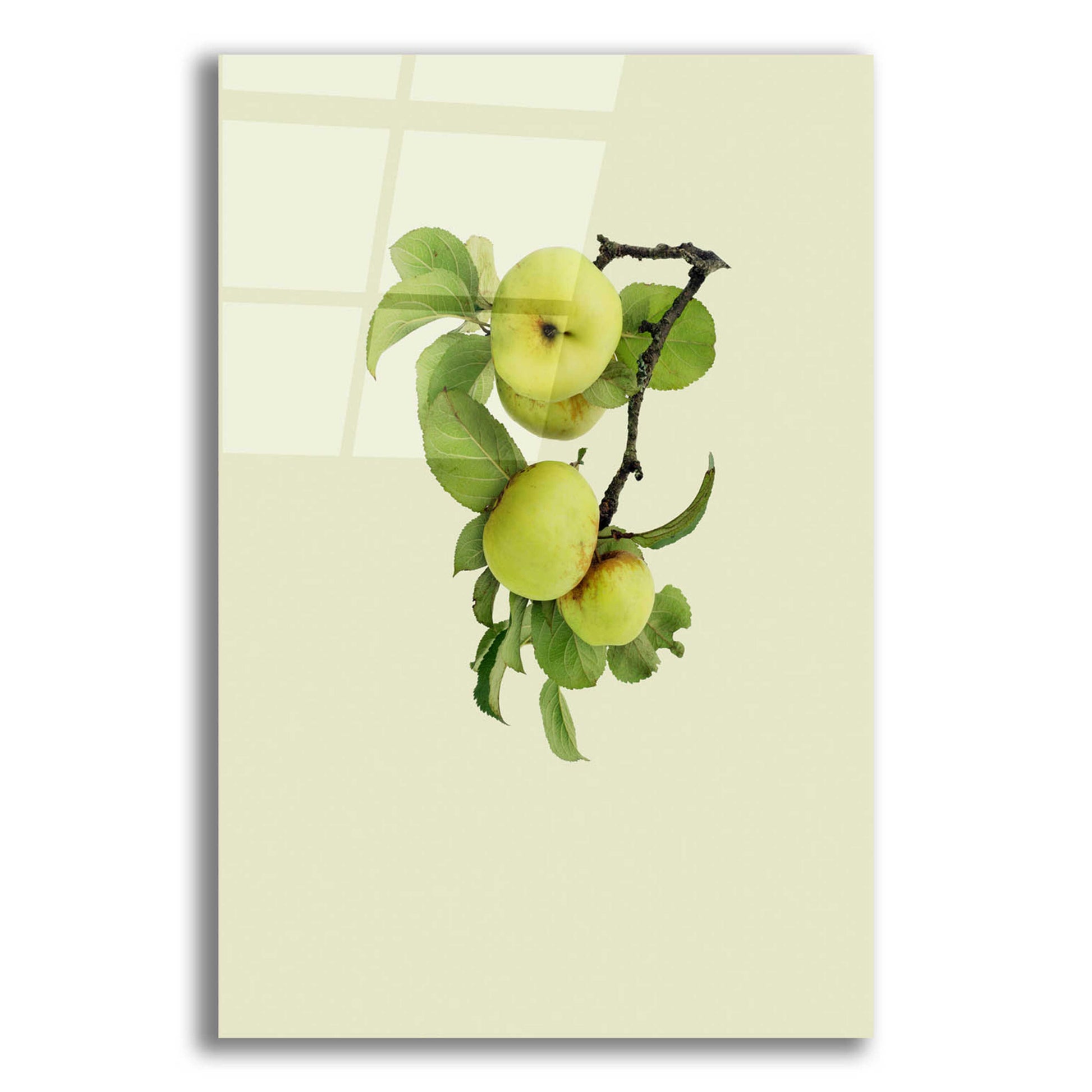 Epic Art 'Apple tree I' by Incado, Acrylic Glass Wall Art