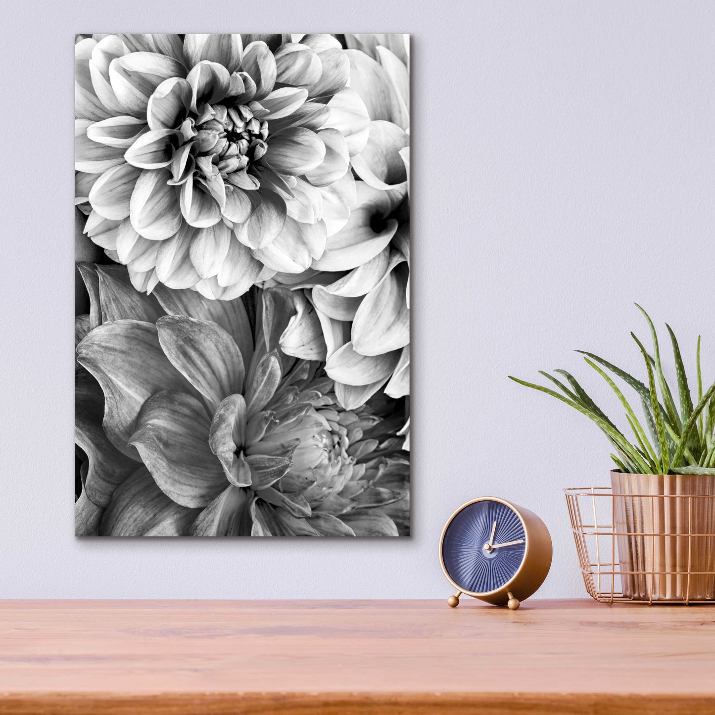 Epic Art 'B&W Flower 2' by Incado, Acrylic Glass Wall Art,12x16