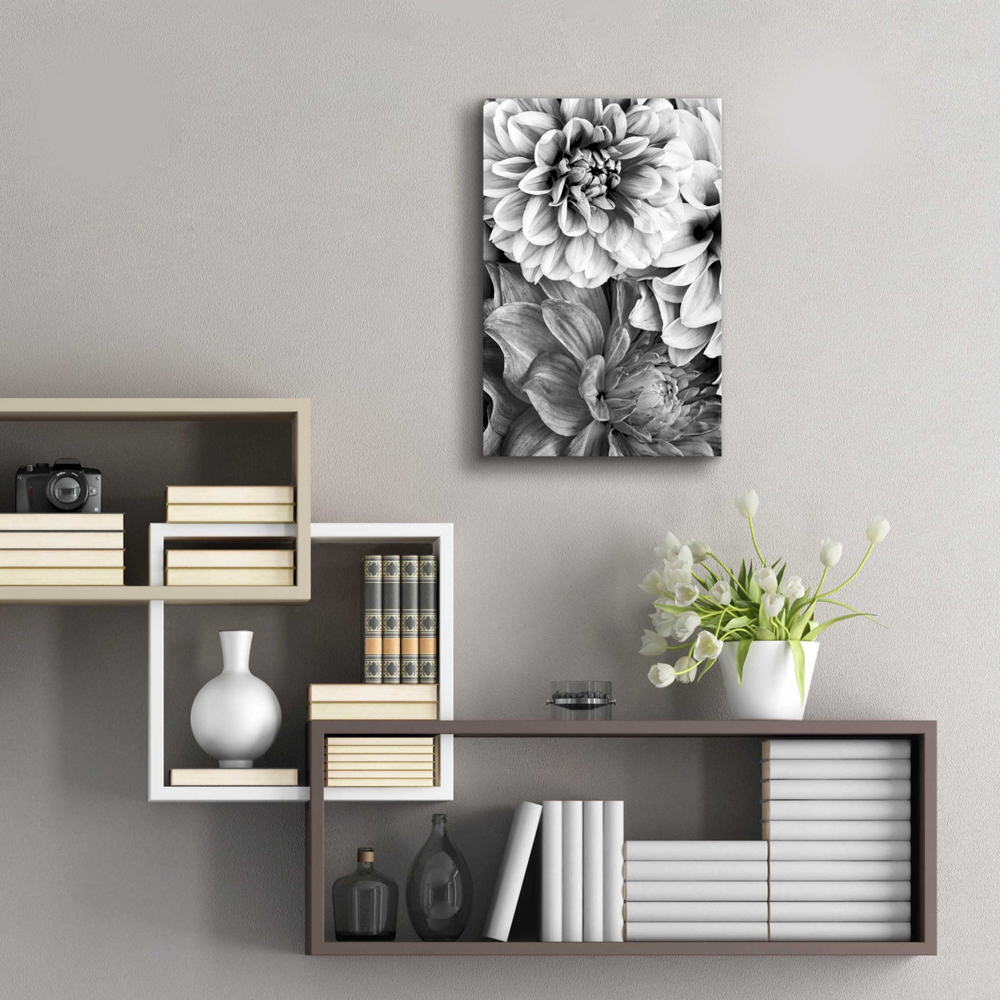 Epic Art 'B&W Flower 2' by Incado, Acrylic Glass Wall Art,16x24