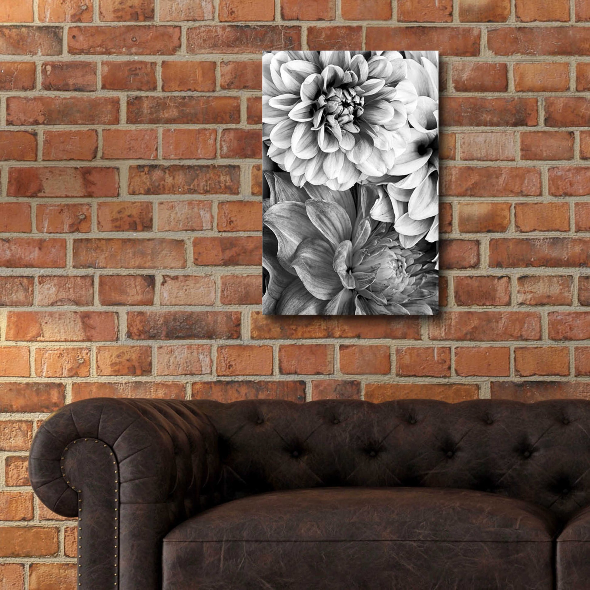 Epic Art 'B&W Flower 2' by Incado, Acrylic Glass Wall Art,16x24