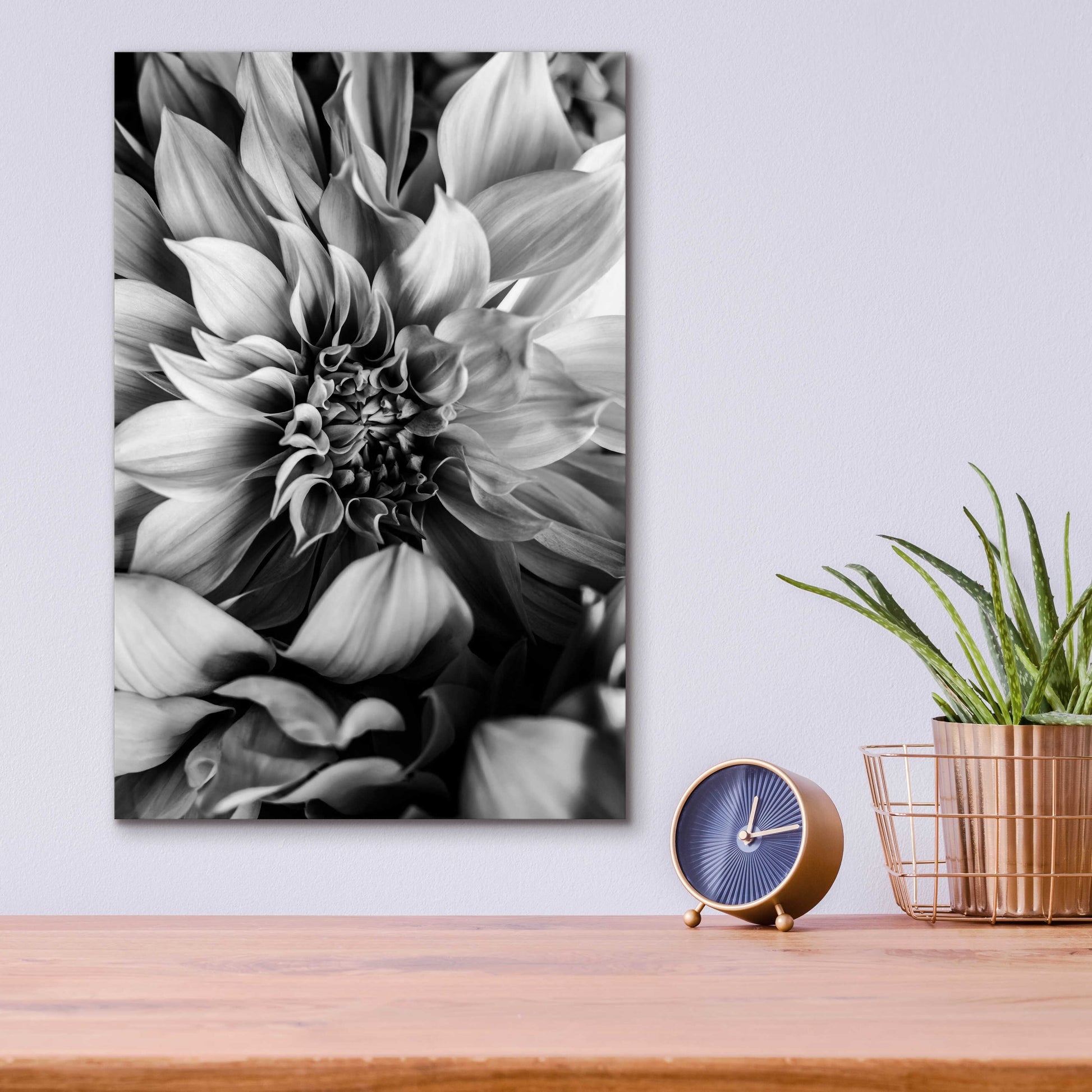 Epic Art 'B&W Flower 4' by Incado, Acrylic Glass Wall Art,12x16