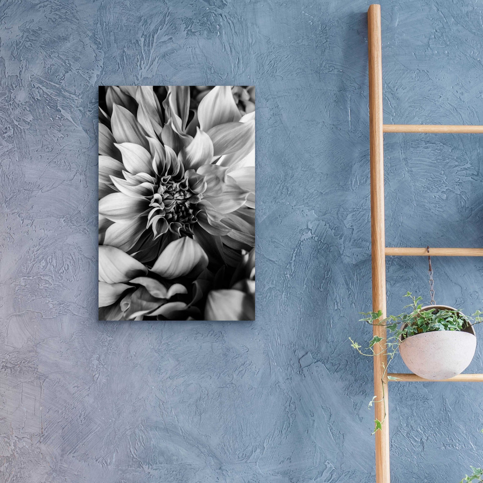 Epic Art 'B&W Flower 4' by Incado, Acrylic Glass Wall Art,16x24