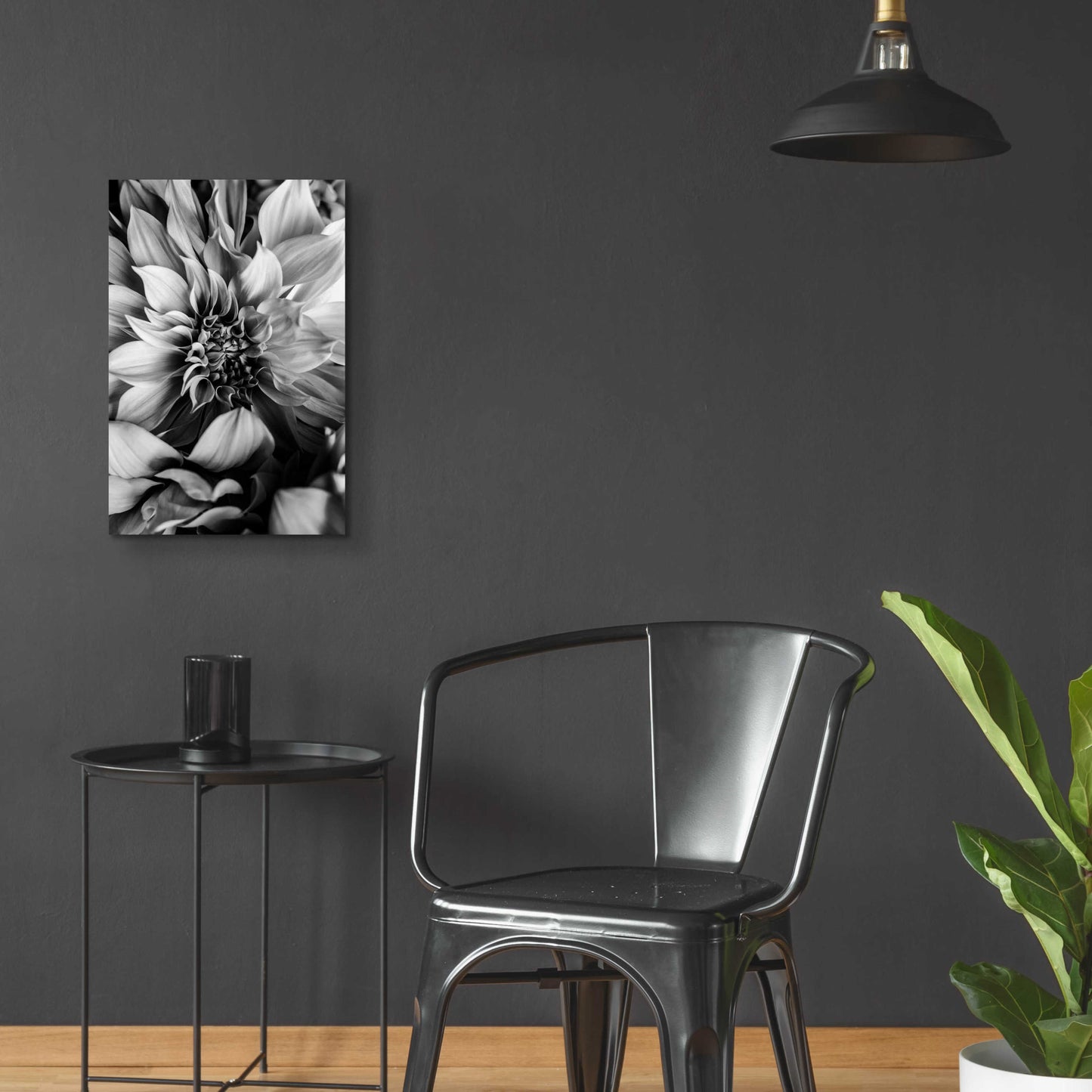 Epic Art 'B&W Flower 4' by Incado, Acrylic Glass Wall Art,16x24