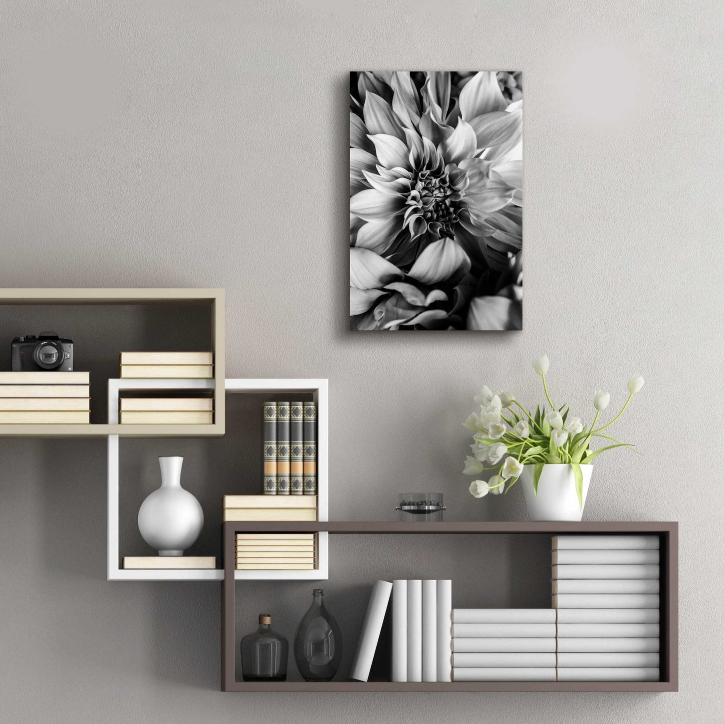 Epic Art 'B&W Flower 4' by Incado, Acrylic Glass Wall Art,16x24