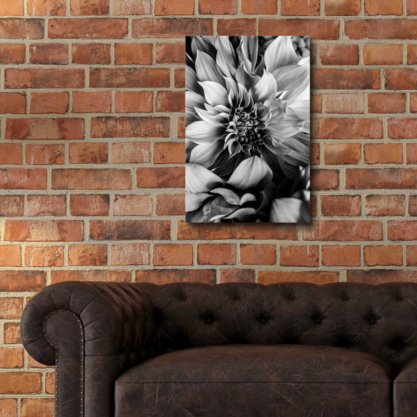 Epic Art 'B&W Flower 4' by Incado, Acrylic Glass Wall Art,16x24