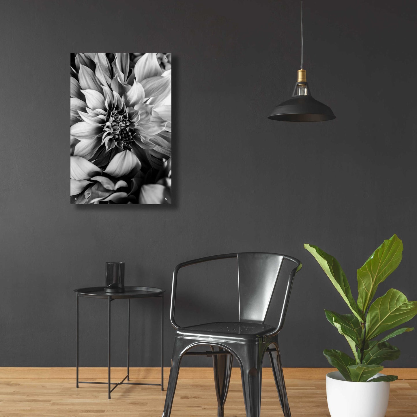 Epic Art 'B&W Flower 4' by Incado, Acrylic Glass Wall Art,24x36