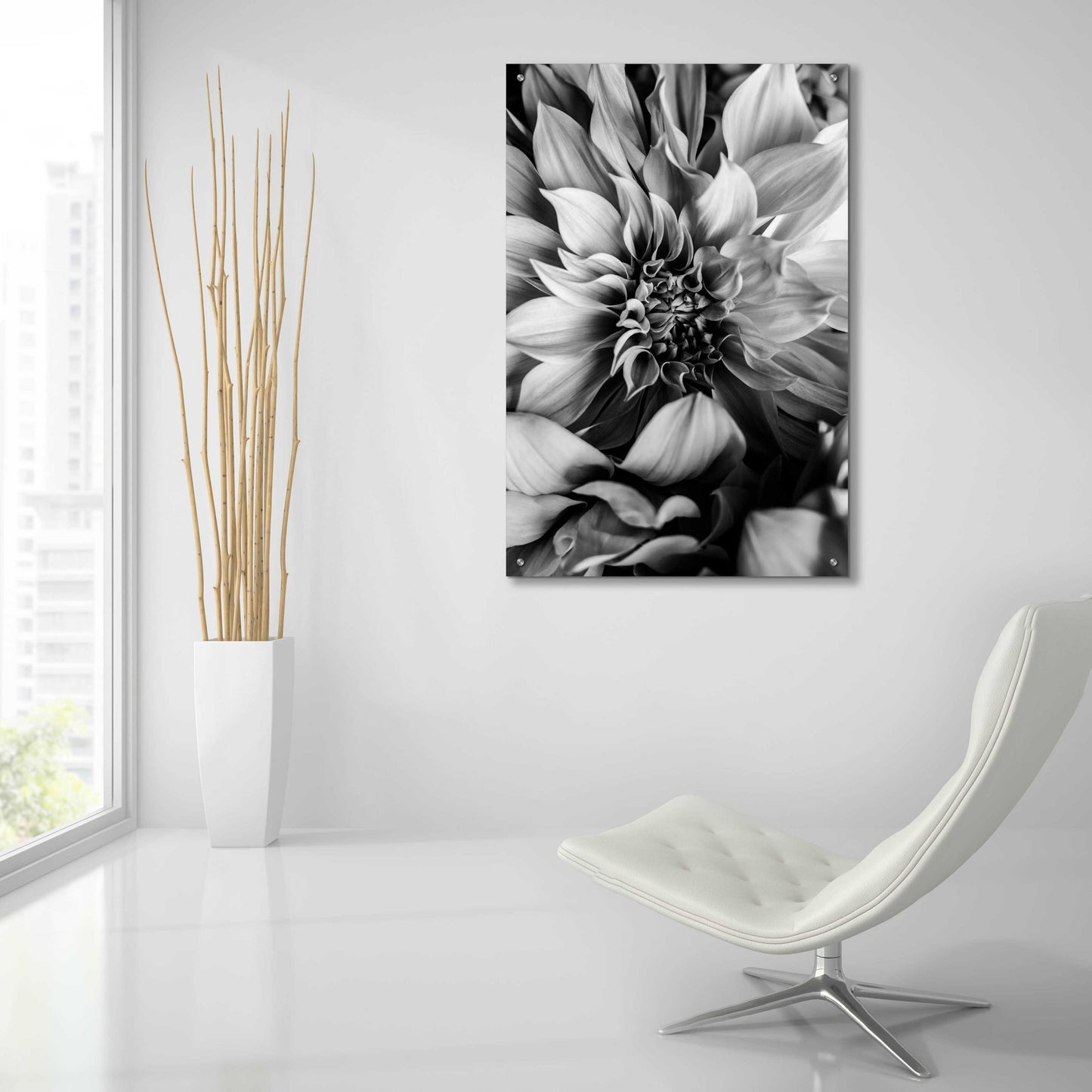 Epic Art 'B&W Flower 4' by Incado, Acrylic Glass Wall Art,24x36