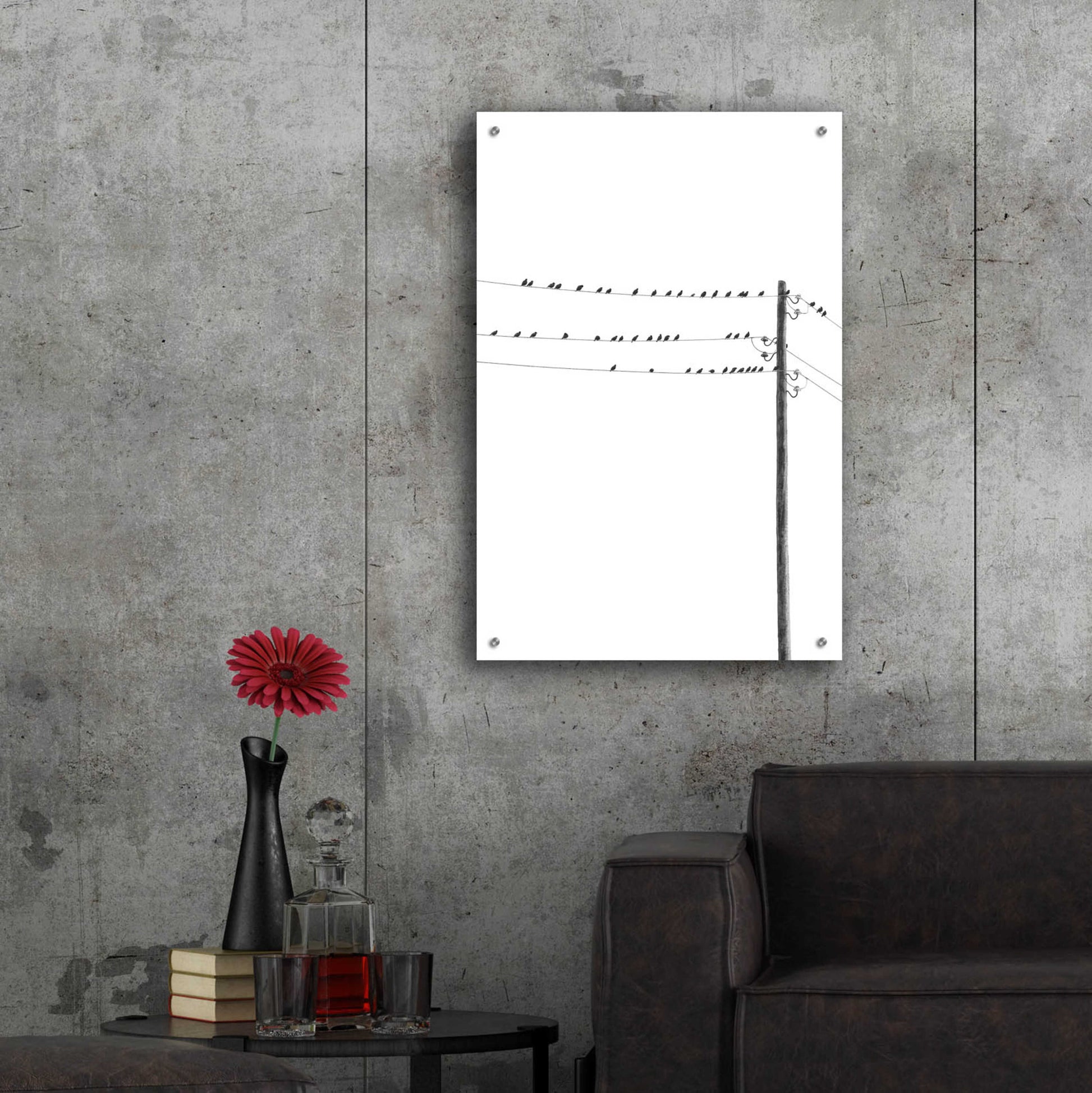 Epic Art 'Birds on Wires' by Incado, Acrylic Glass Wall Art,24x36