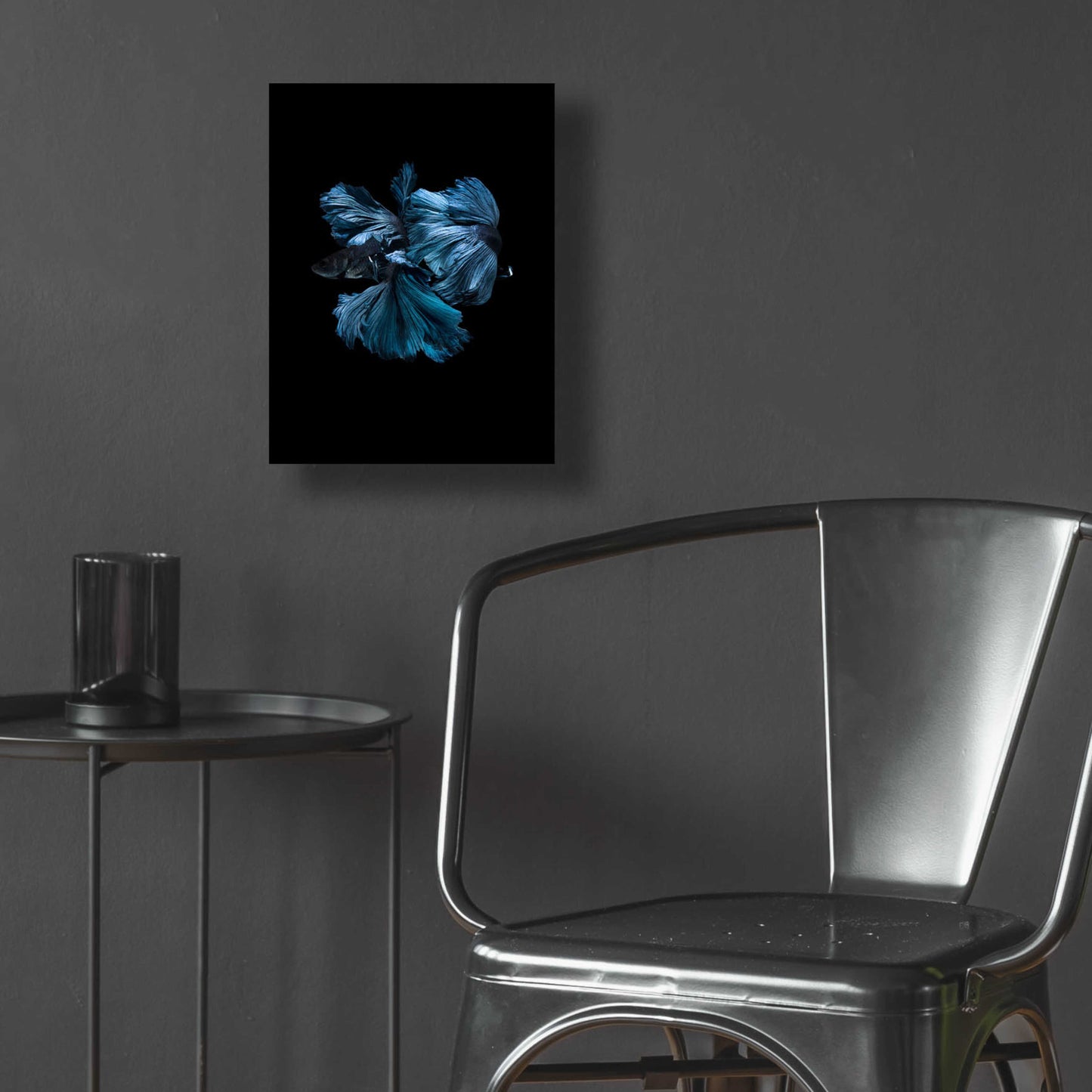 Epic Art 'Blue Betta' by Incado, Acrylic Glass Wall Art,12x16