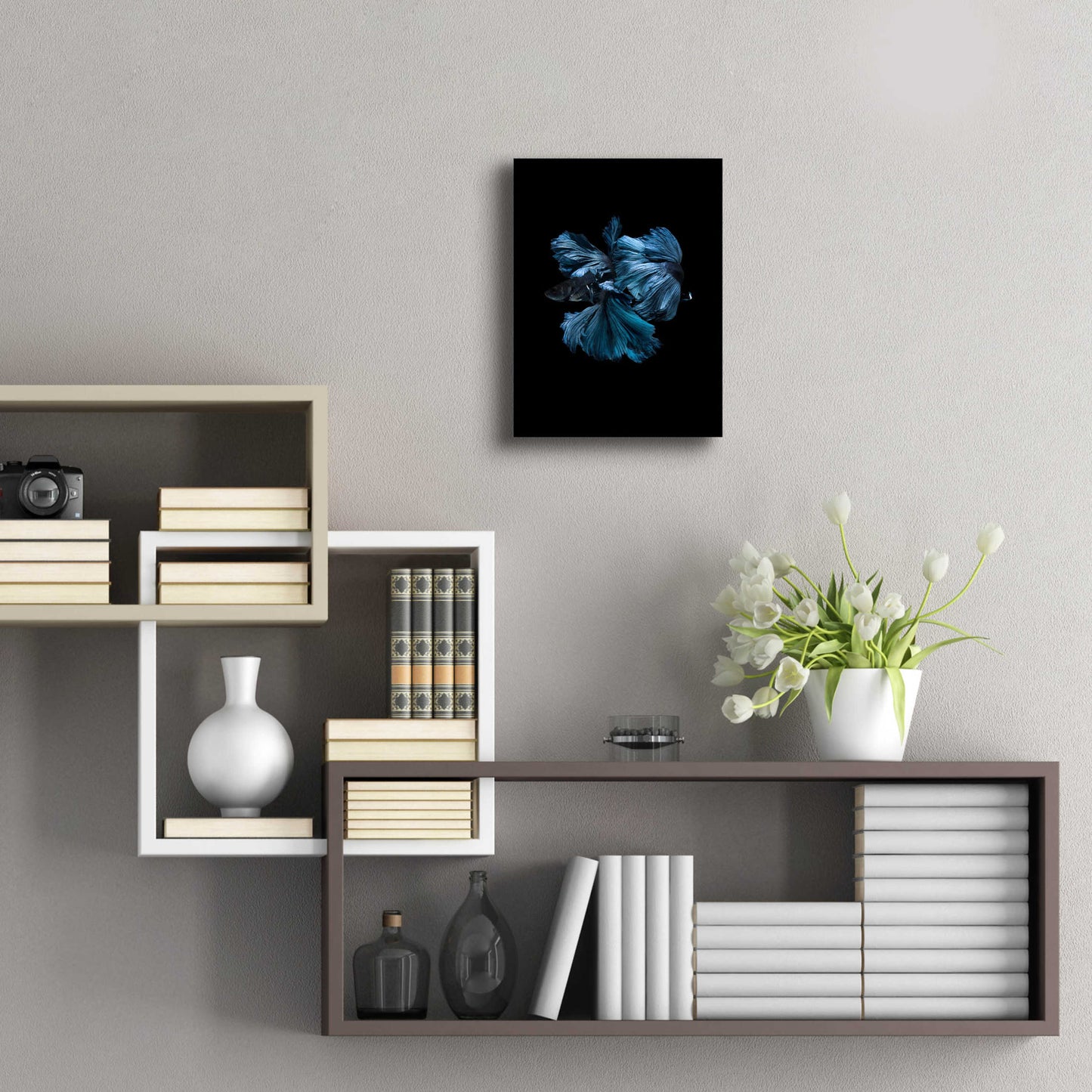 Epic Art 'Blue Betta' by Incado, Acrylic Glass Wall Art,12x16