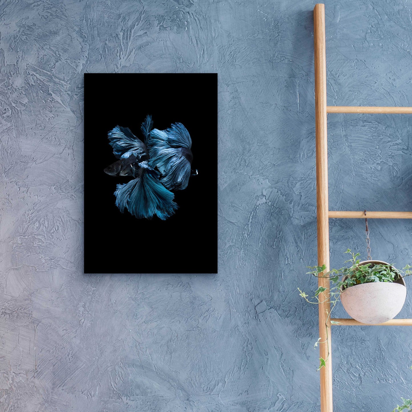 Epic Art 'Blue Betta' by Incado, Acrylic Glass Wall Art,16x24