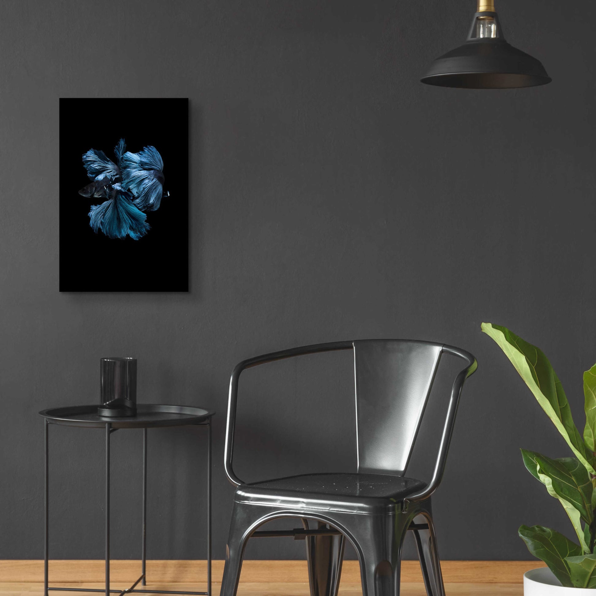 Epic Art 'Blue Betta' by Incado, Acrylic Glass Wall Art,16x24