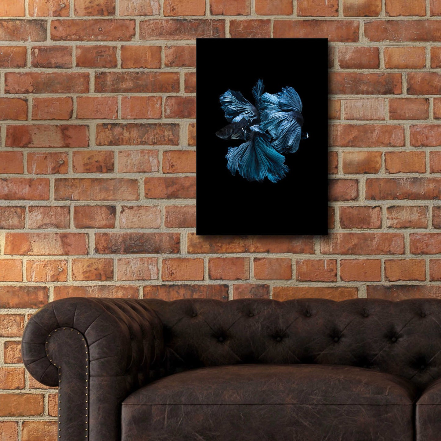 Epic Art 'Blue Betta' by Incado, Acrylic Glass Wall Art,16x24