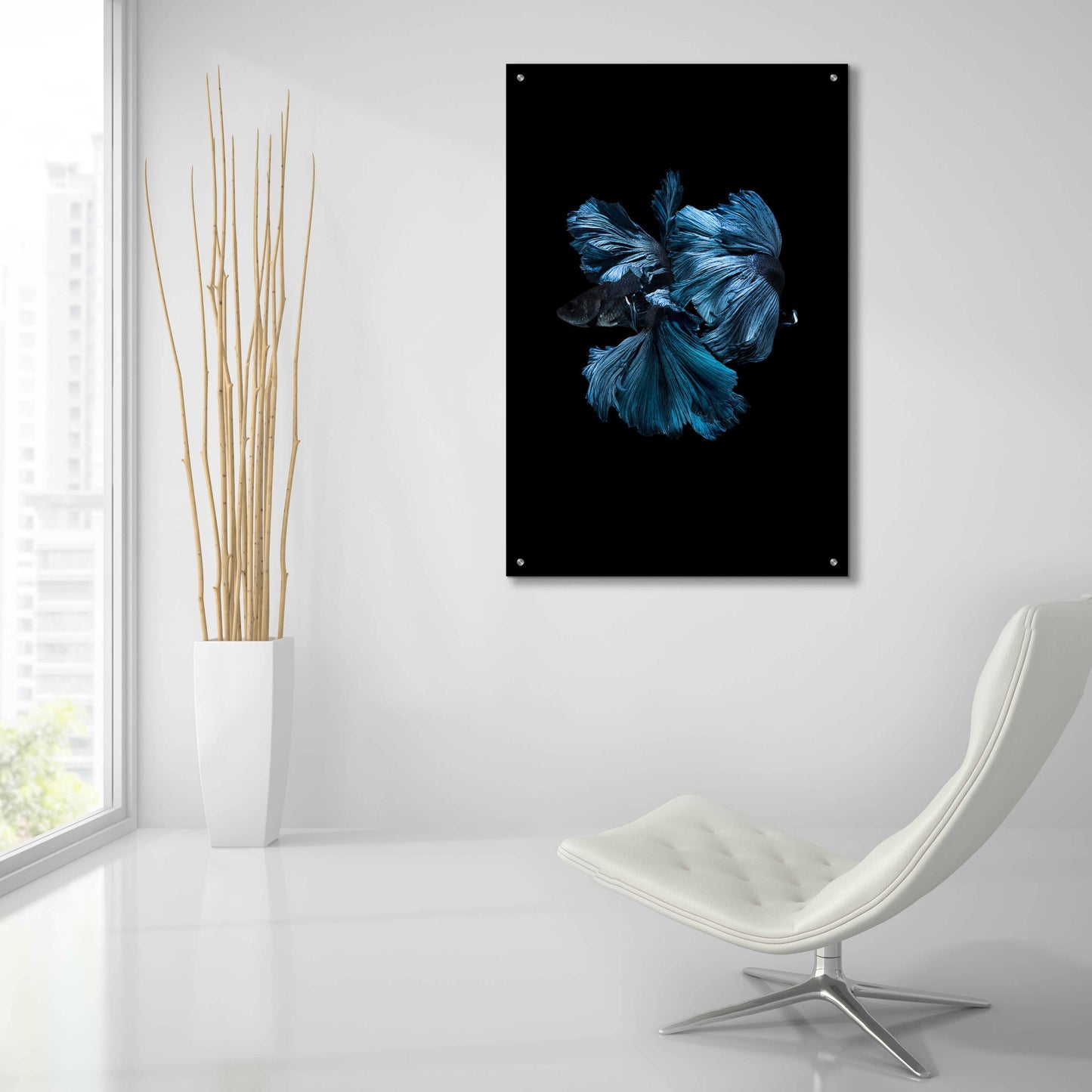 Epic Art 'Blue Betta' by Incado, Acrylic Glass Wall Art,24x36