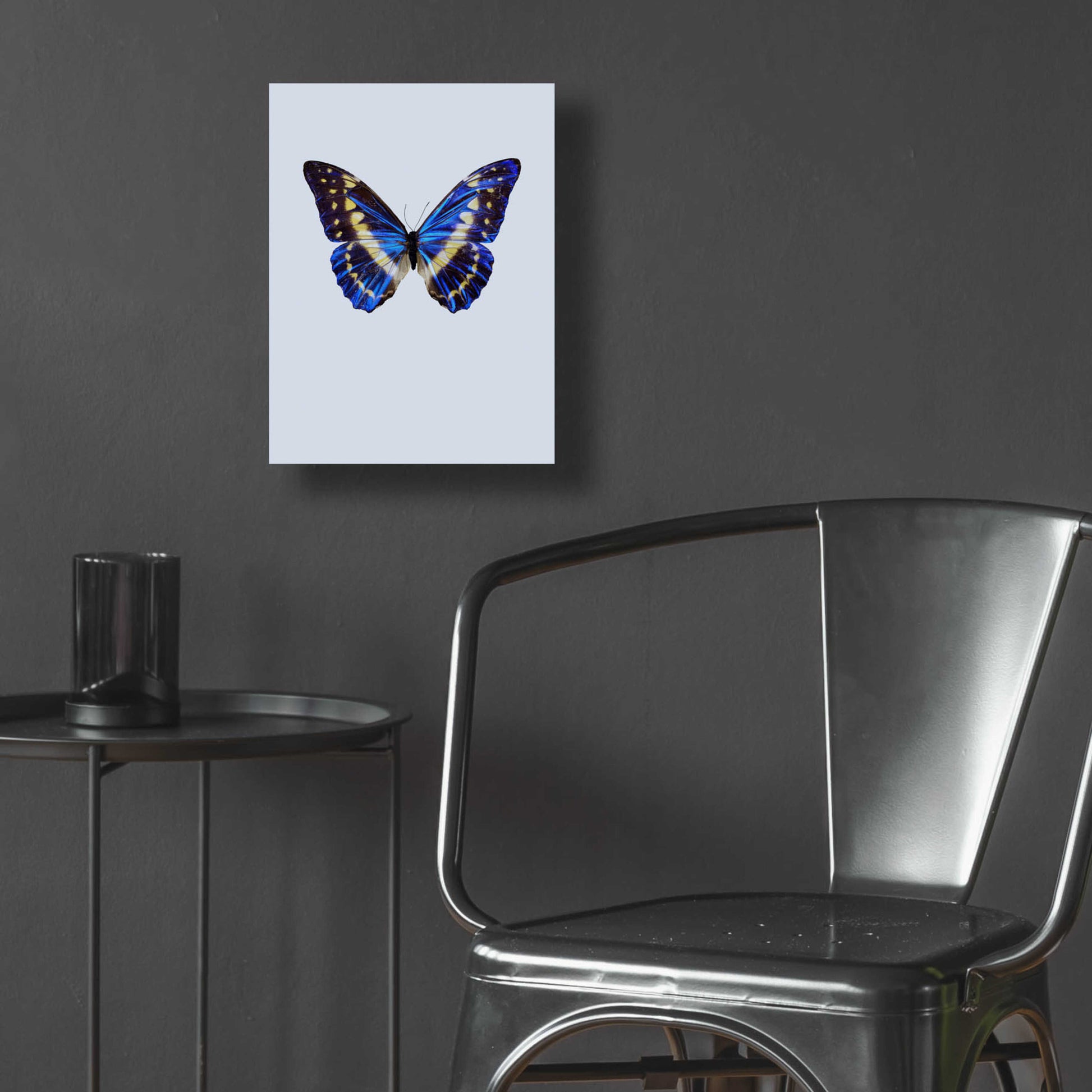 Epic Art 'Blue Butterfly' by Incado, Acrylic Glass Wall Art,12x16