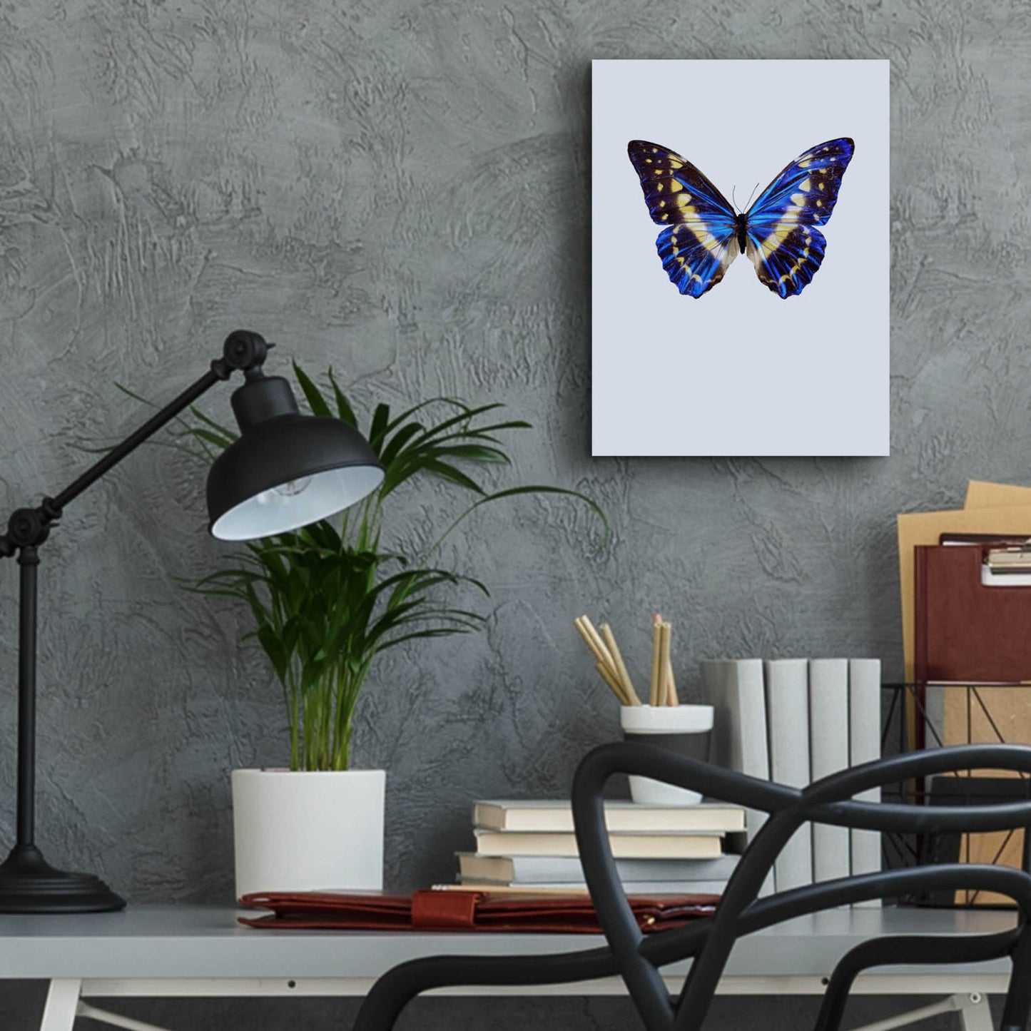 Epic Art 'Blue Butterfly' by Incado, Acrylic Glass Wall Art,12x16