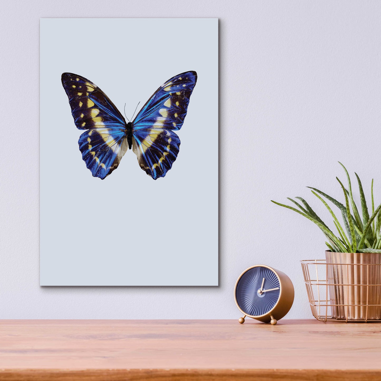 Epic Art 'Blue Butterfly' by Incado, Acrylic Glass Wall Art,12x16