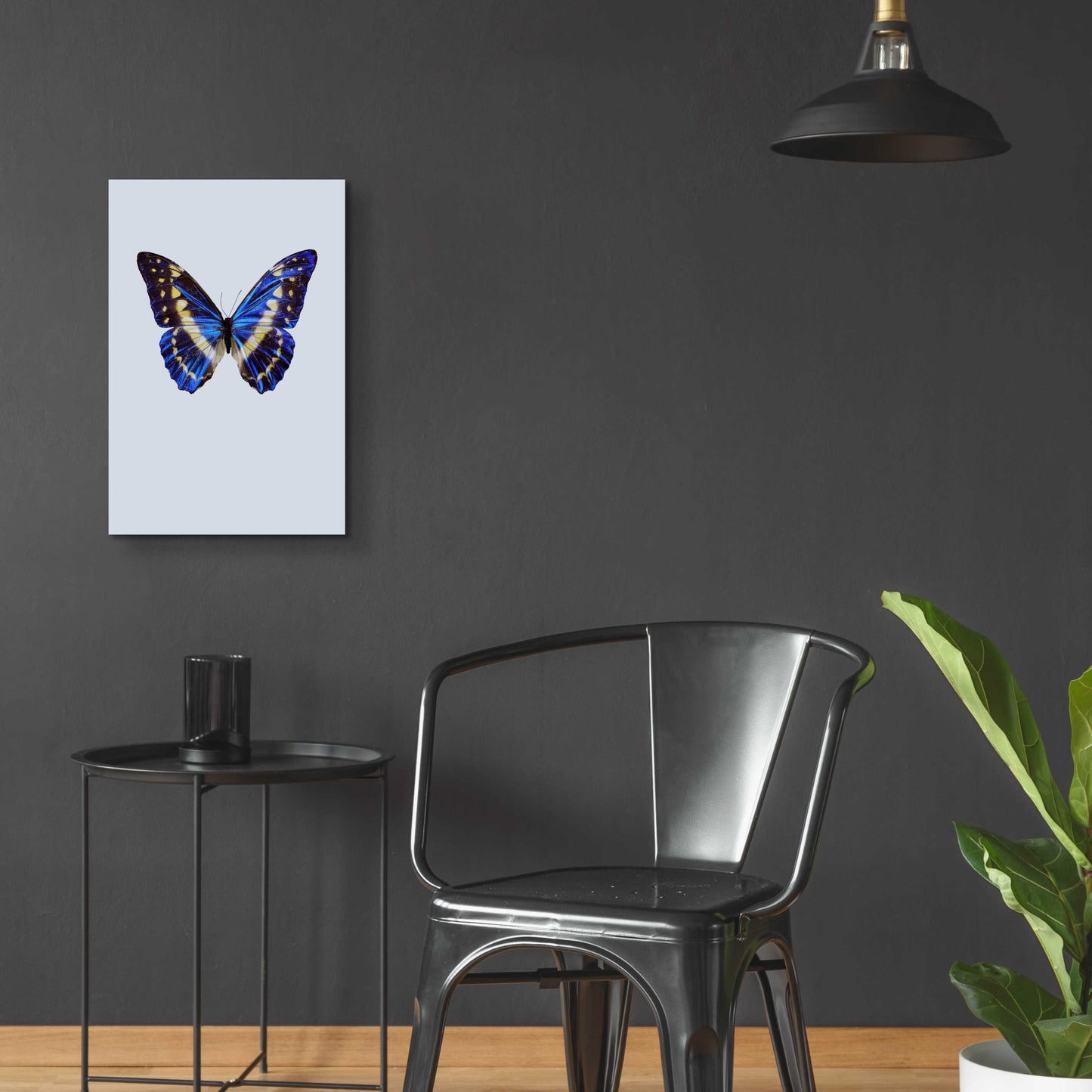 Epic Art 'Blue Butterfly' by Incado, Acrylic Glass Wall Art,16x24