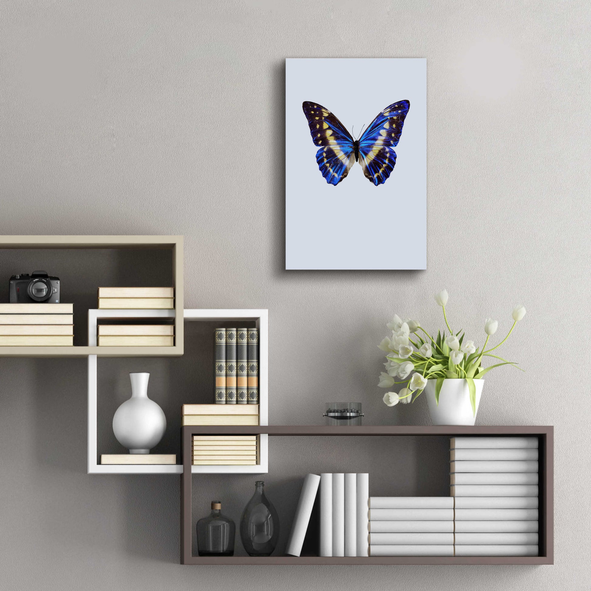 Epic Art 'Blue Butterfly' by Incado, Acrylic Glass Wall Art,16x24