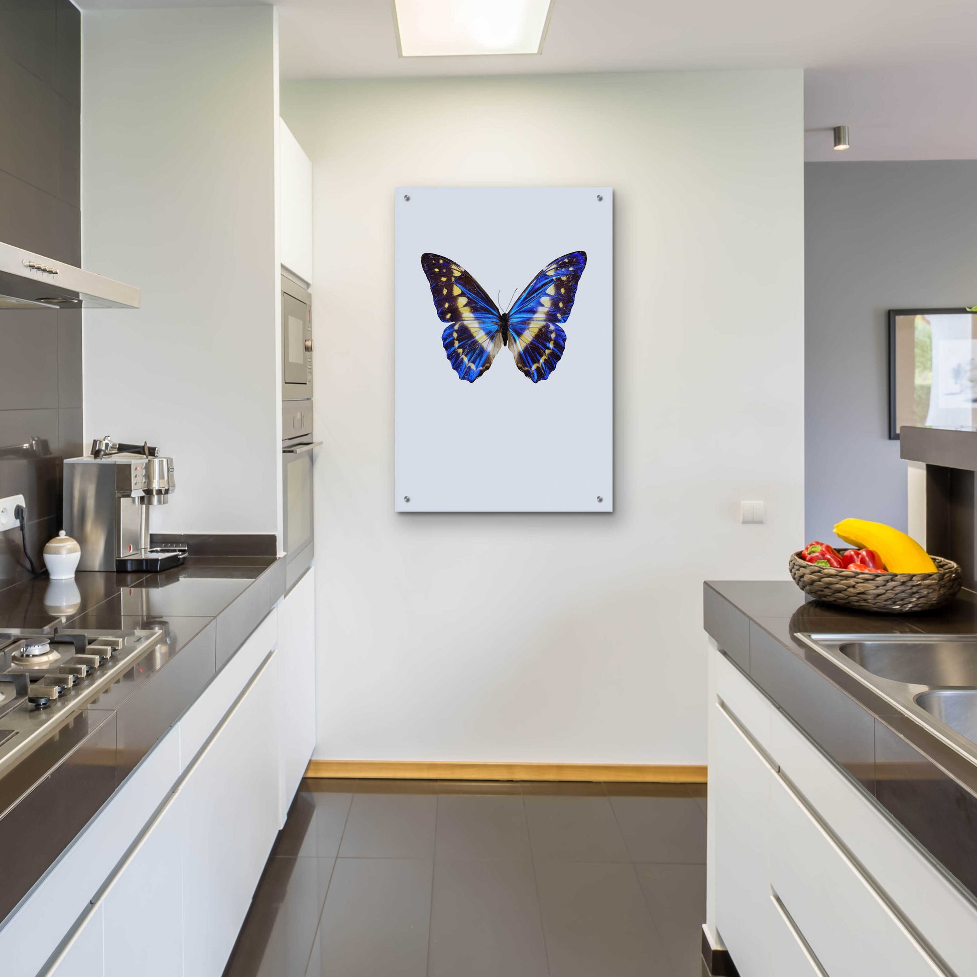 Epic Art 'Blue Butterfly' by Incado, Acrylic Glass Wall Art,24x36