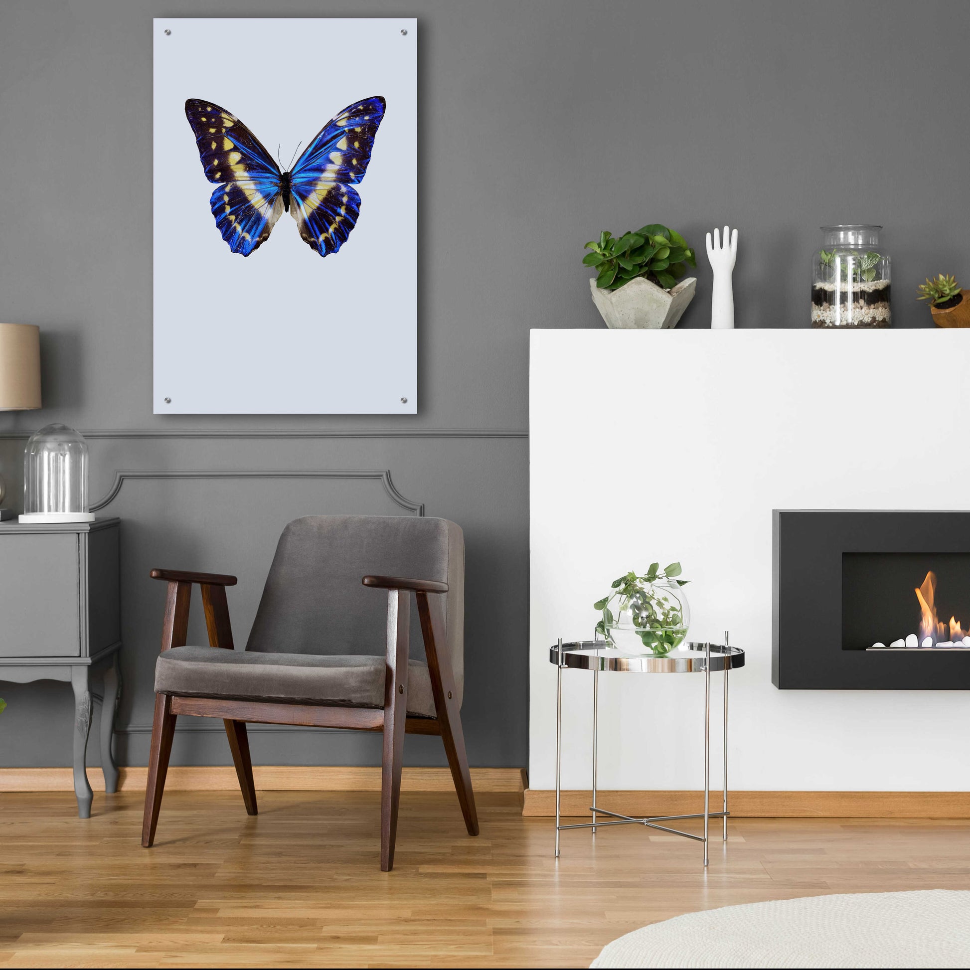 Epic Art 'Blue Butterfly' by Incado, Acrylic Glass Wall Art,24x36